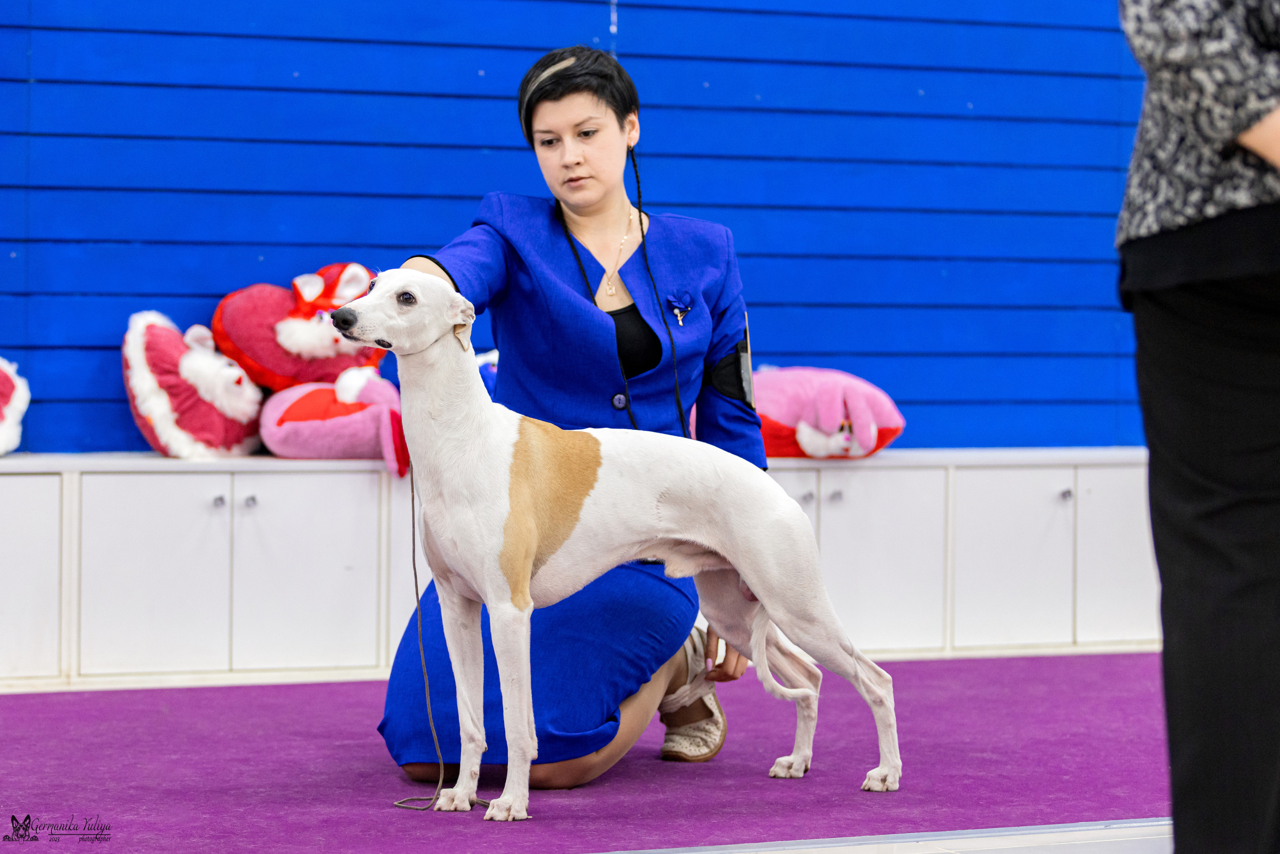 Сфера+МД 8-9.04.2023. Фотограф-анималист Юлия Германика