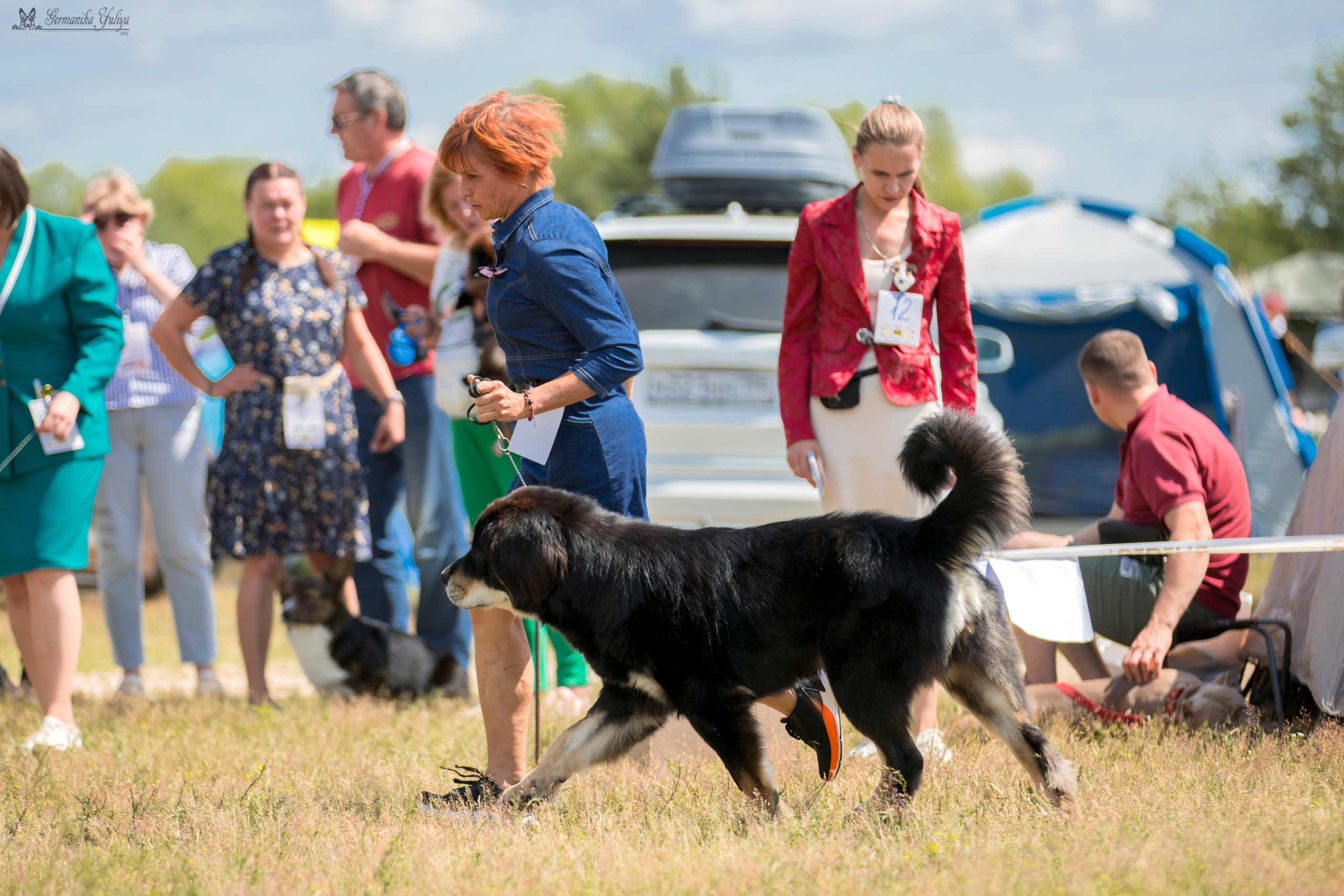 Волжанка 8.07.2023. Фотограф-анималист Юлия Германика
