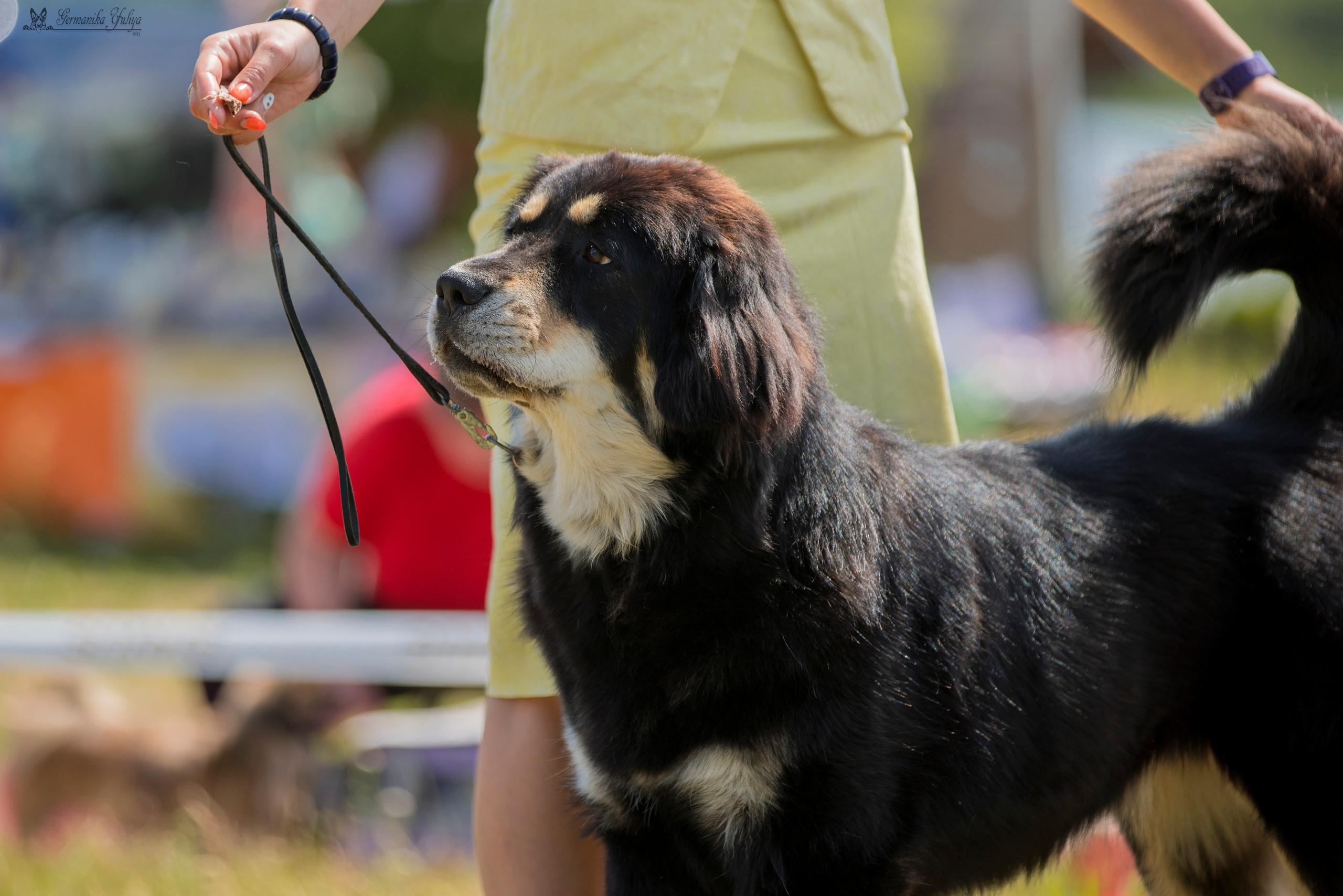 Волжанка 8.07.2023. Фотограф-анималист Юлия Германика