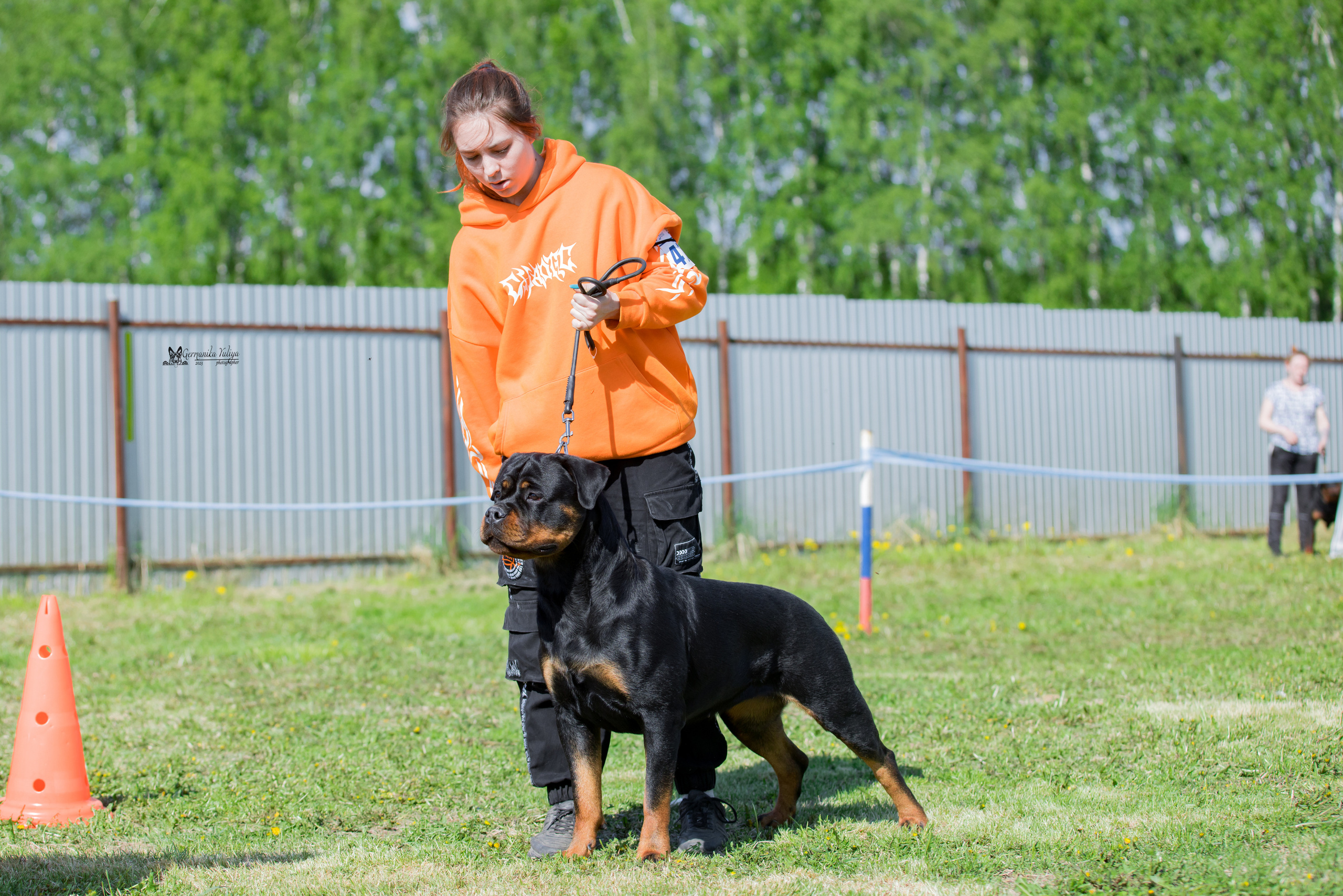 Нижний Новгород моно ротвейлеров 13.05.2023. Фотограф-анималист Юлия Германика