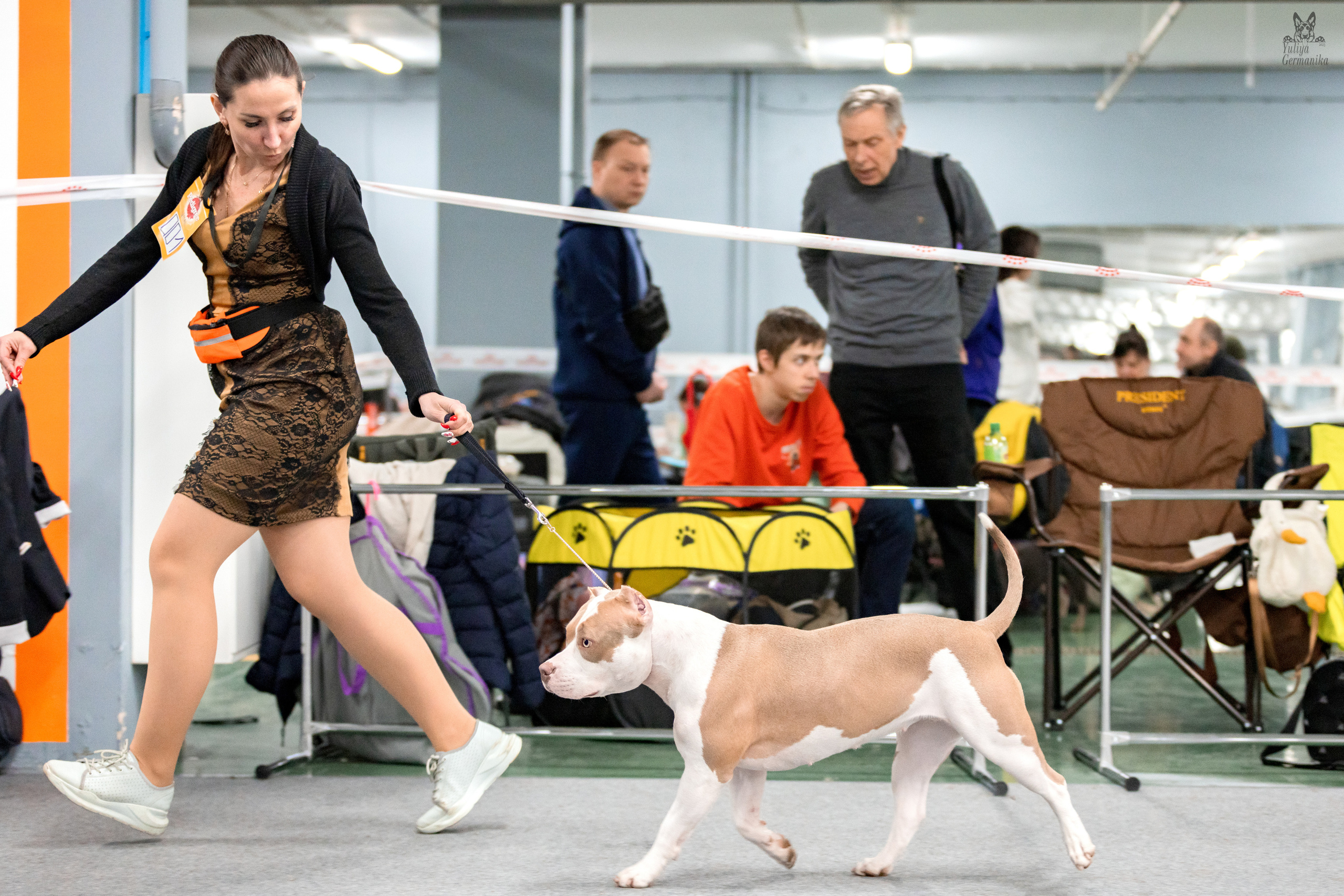 Сфера 25-26.03.2023. Фотограф-анималист Юлия Германика