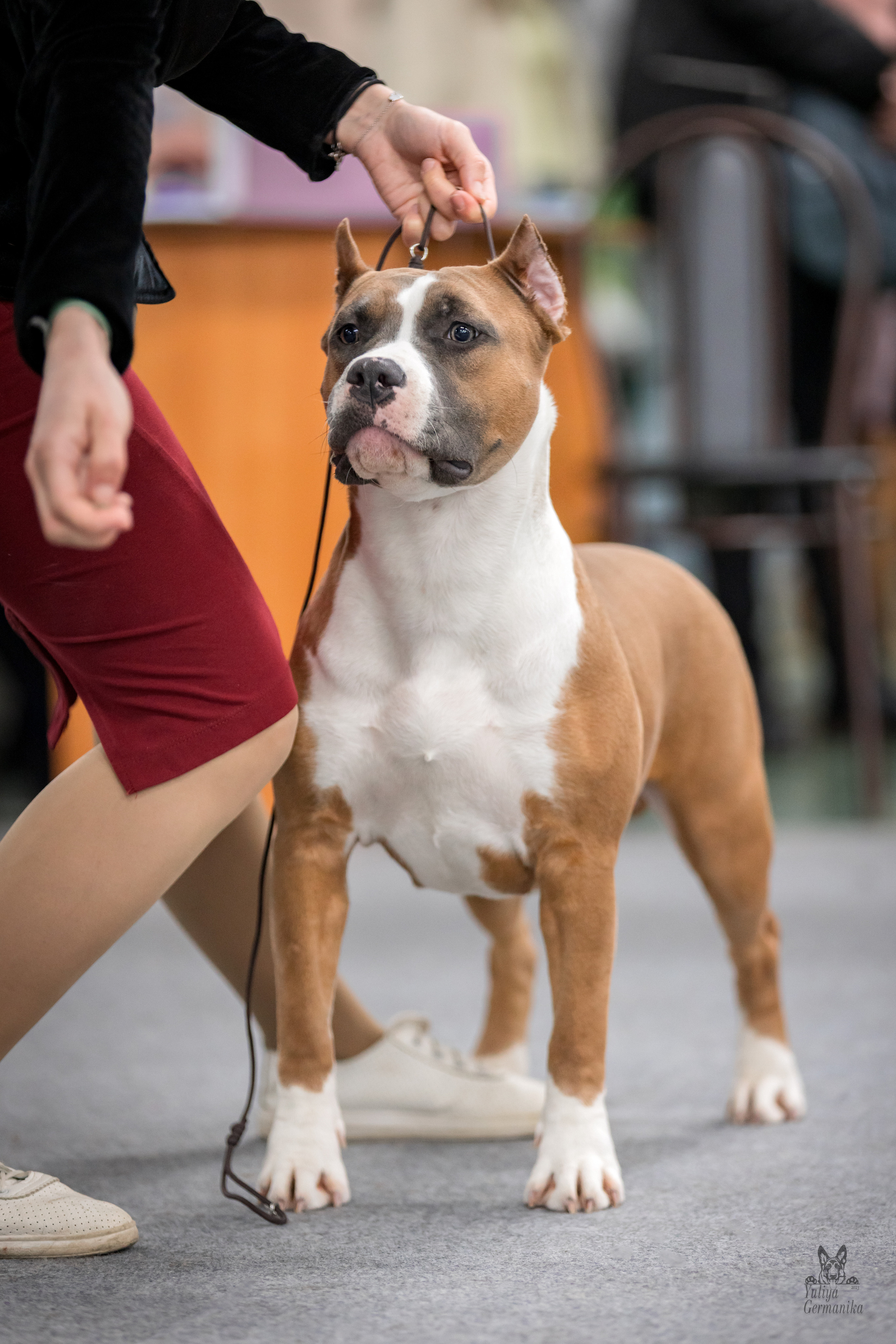 Сфера 25-26.03.2023. Фотограф-анималист Юлия Германика