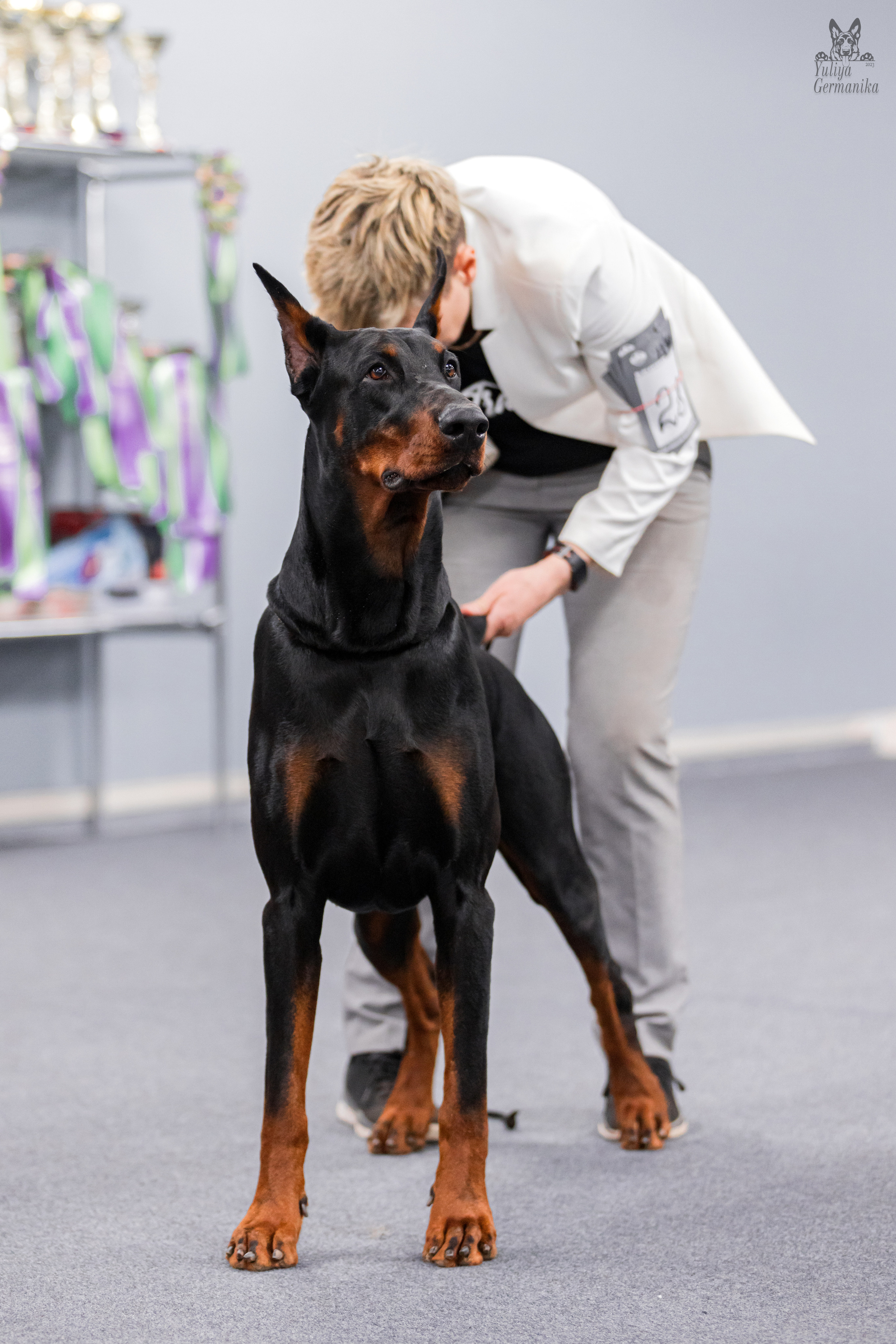 Сфера+доберманы 02.04.2023. Фотограф-анималист Юлия Германика