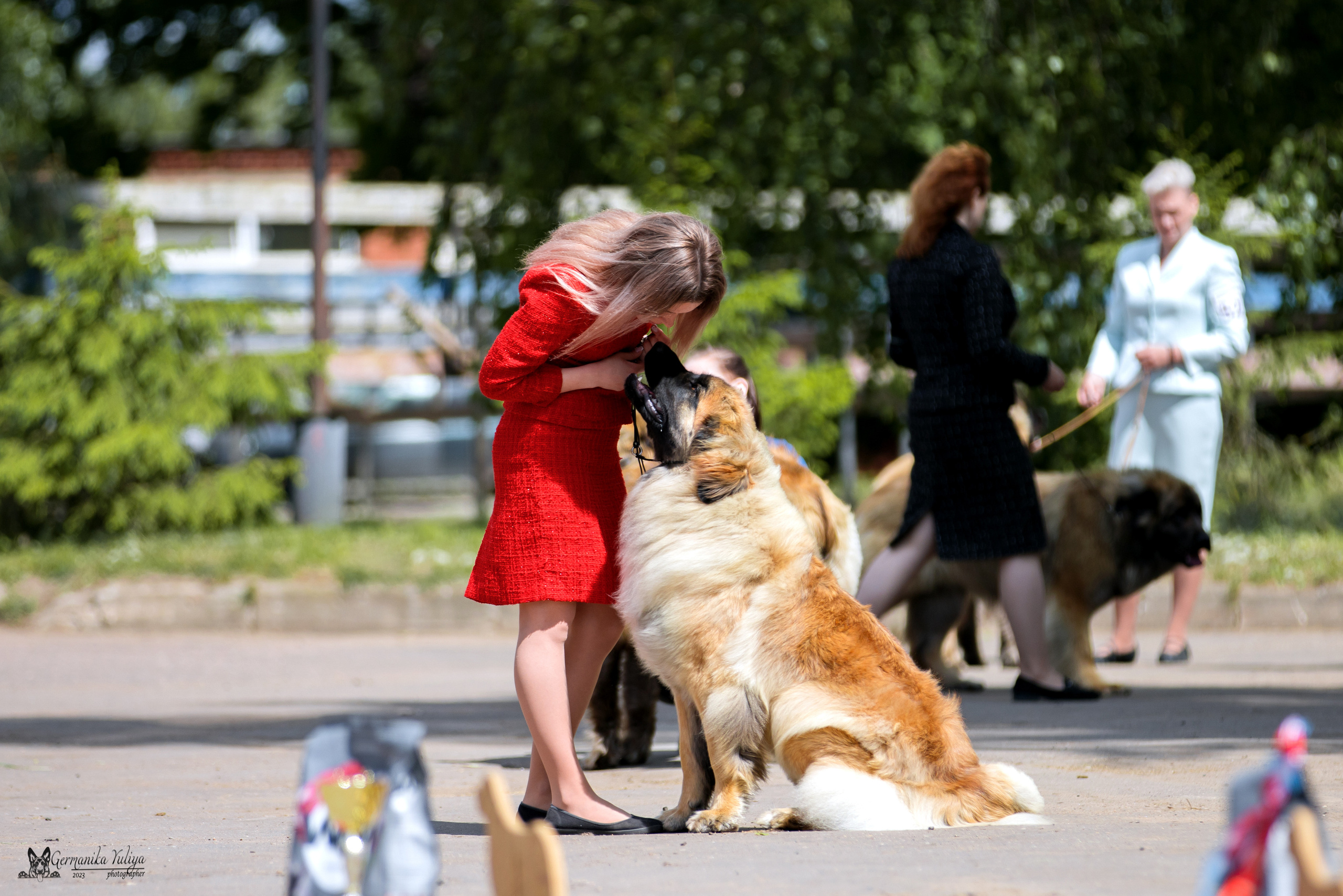 Националка Леонбергеров 28.05.2023. Фотограф-анималист Юлия Германика