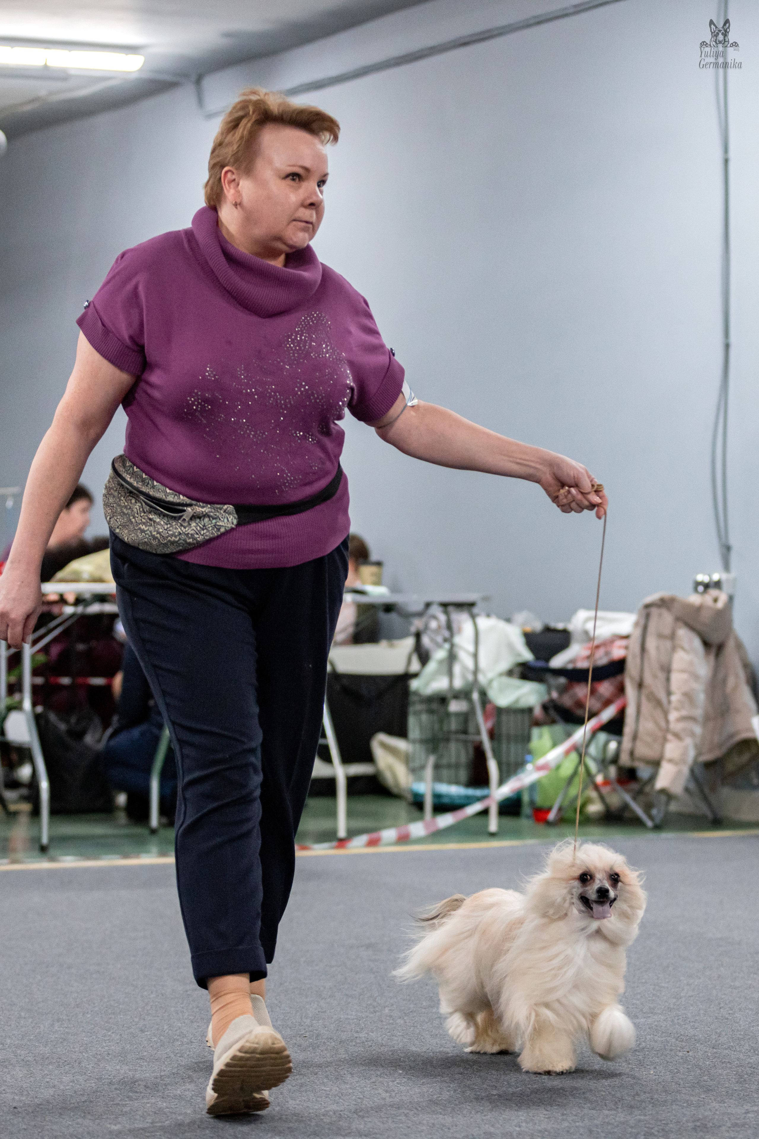 Сфера+доберманы 02.04.2023. Фотограф-анималист Юлия Германика