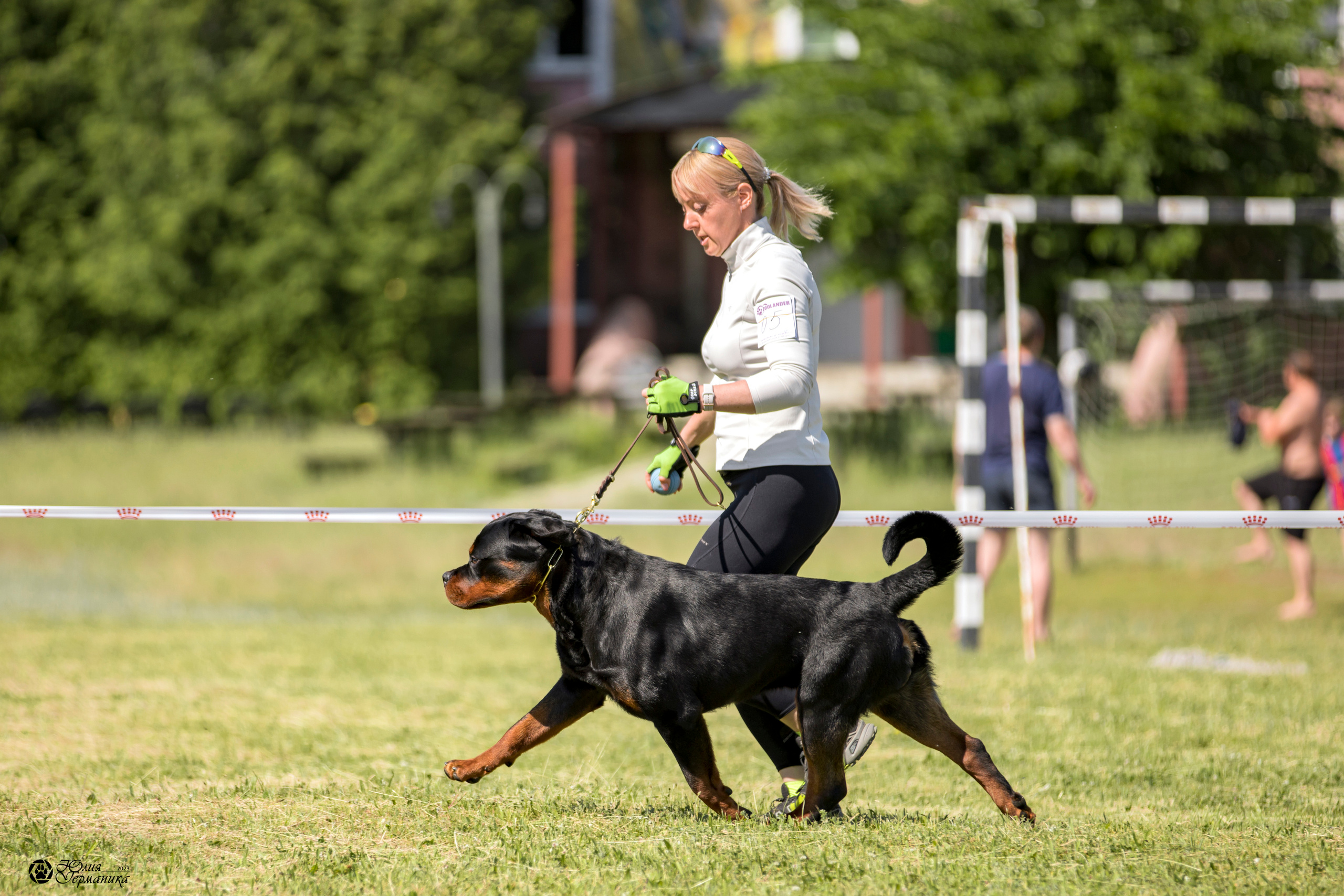 Воронеж 2хмоно ротвейлеров 3-4.06.2023. Фотограф-анималист Юлия Германика