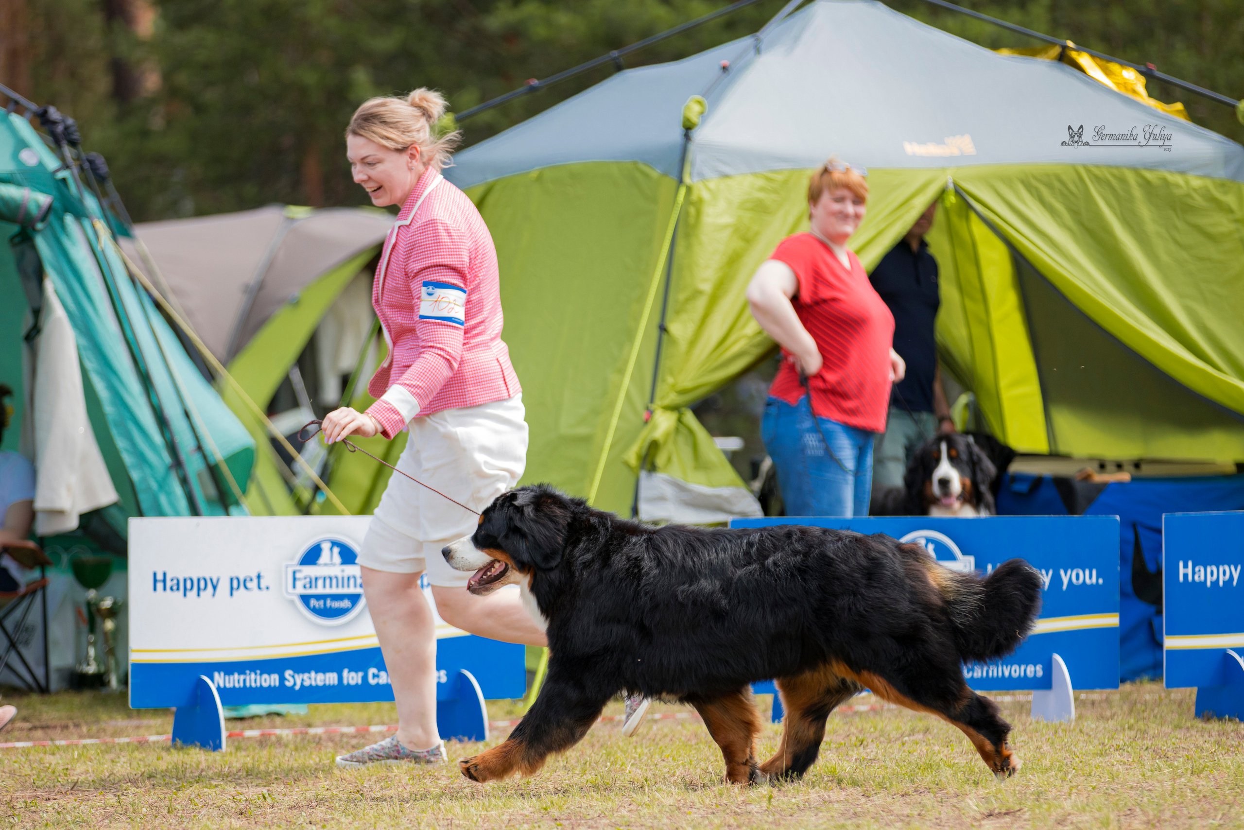 Владимир 1-2.07.2023. Фотограф-анималист Юлия Германика