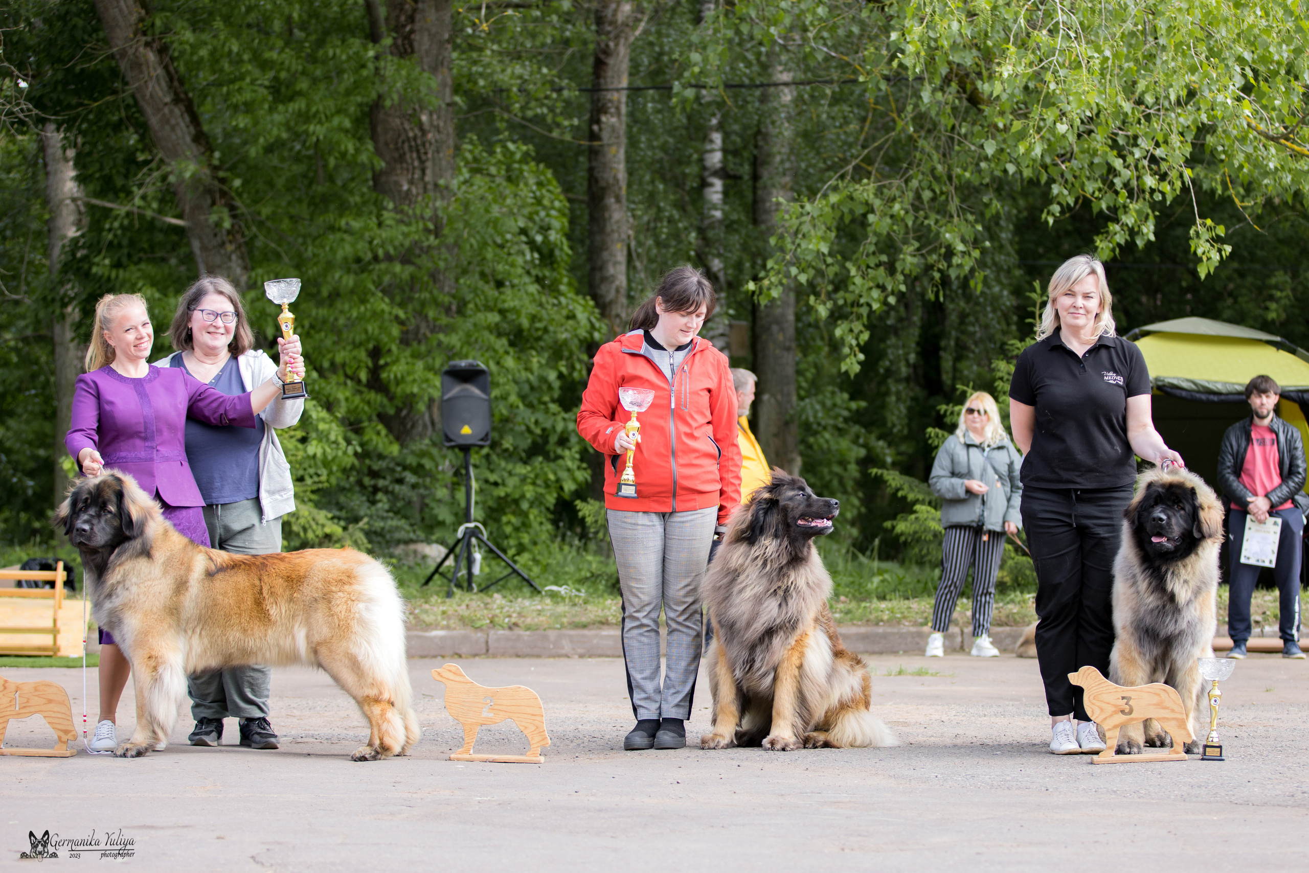 Националка Леонбергеров 28.05.2023. Фотограф-анималист Юлия Германика