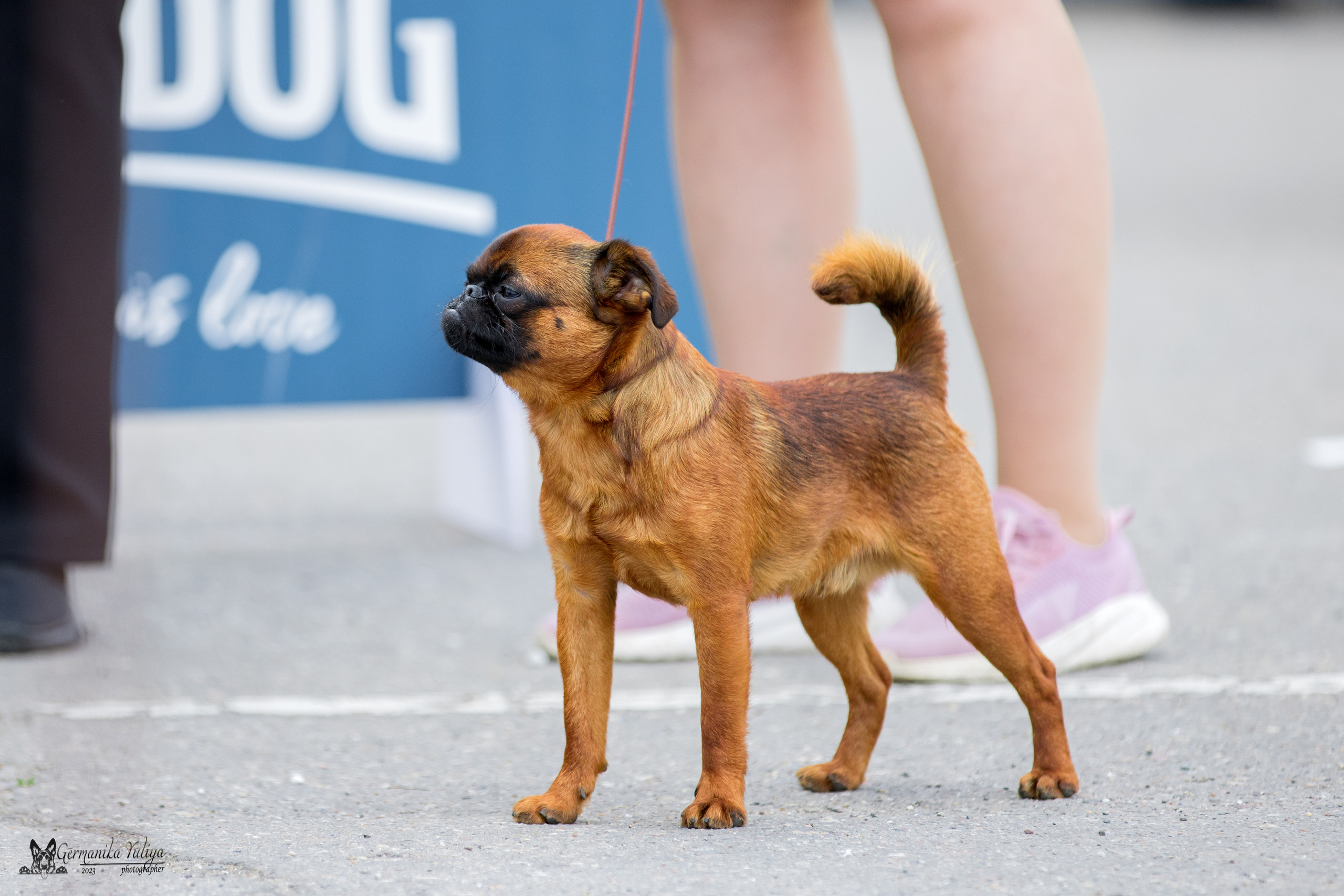 Измайлово 21.05.2023. Фотограф-анималист Юлия Германика