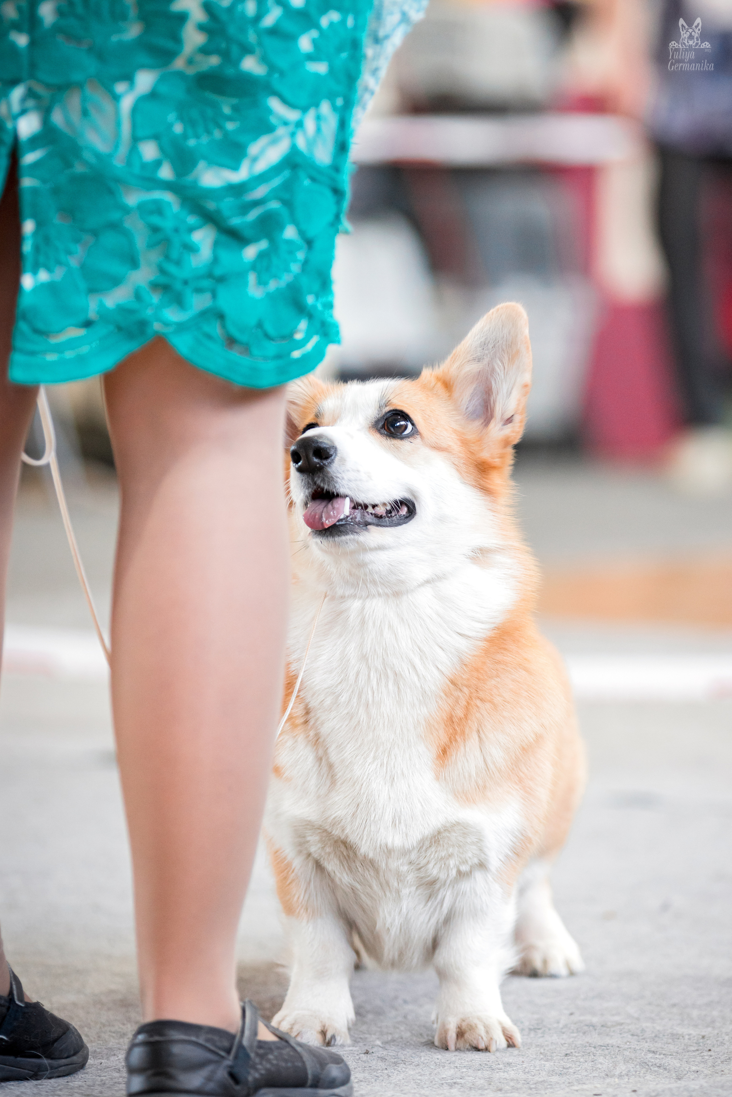 Тверь 01.04.2023. Фотограф-анималист Юлия Германика