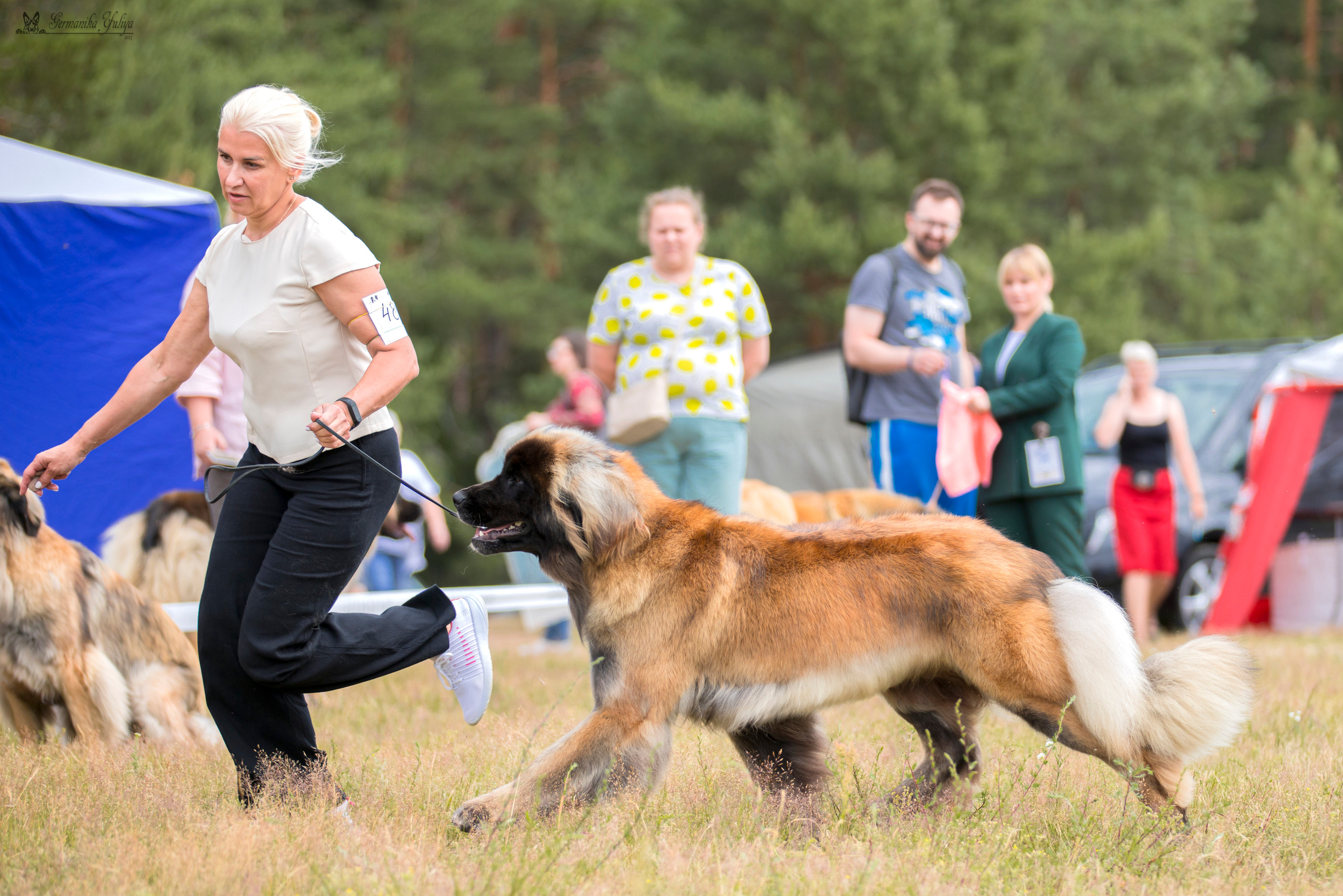 Волжанка 8.07.2023. Фотограф-анималист Юлия Германика