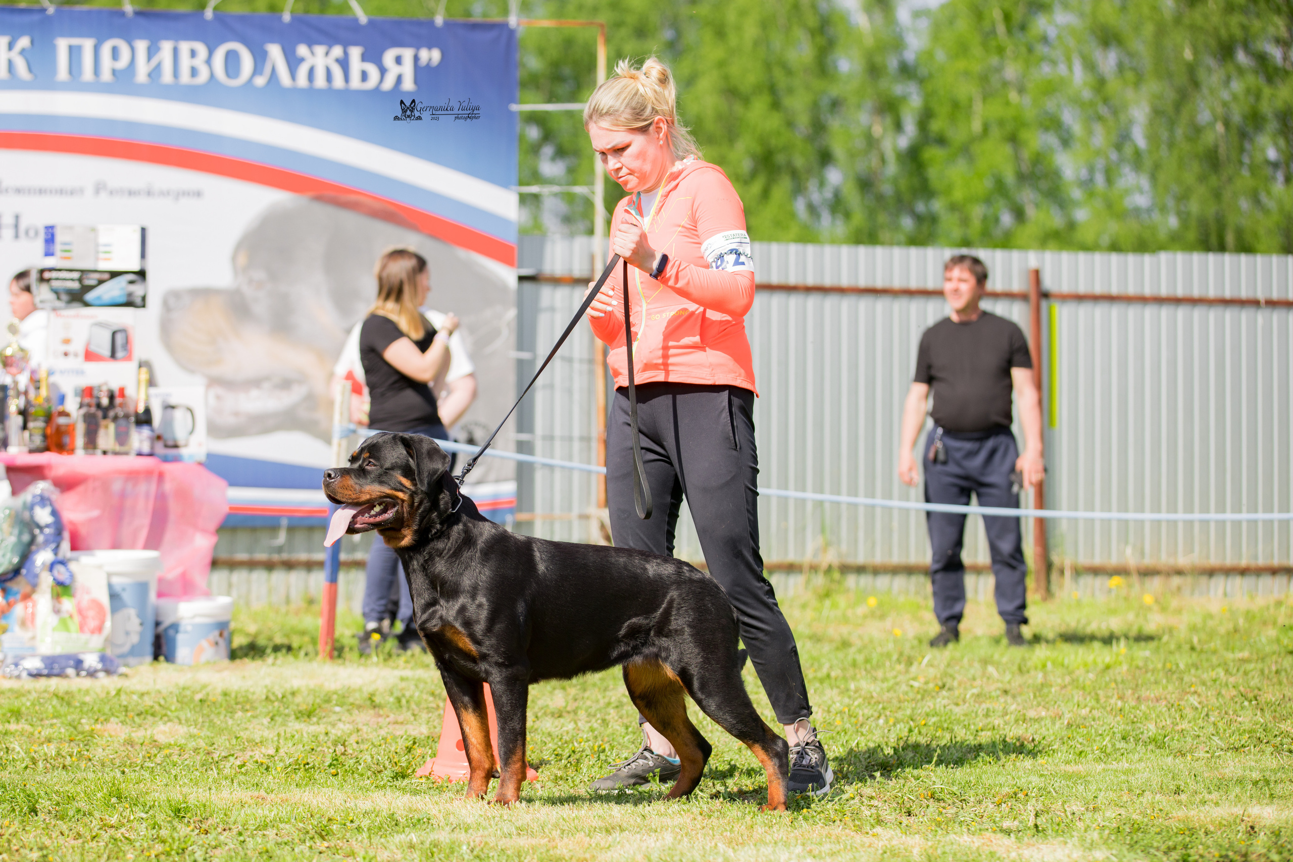 Нижний Новгород моно ротвейлеров 13.05.2023. Фотограф-анималист Юлия Германика