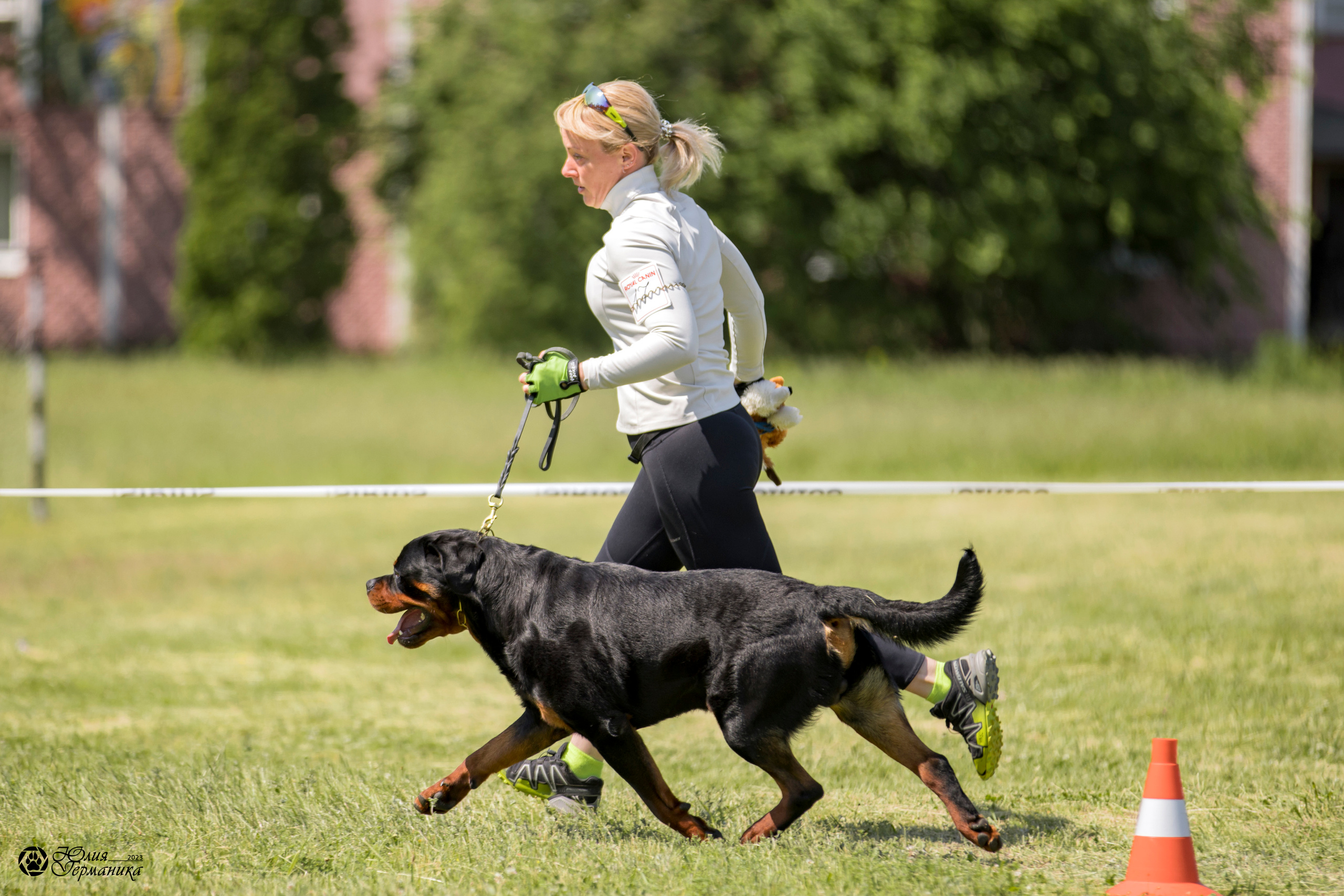 Воронеж 2хмоно ротвейлеров 3-4.06.2023. Фотограф-анималист Юлия Германика