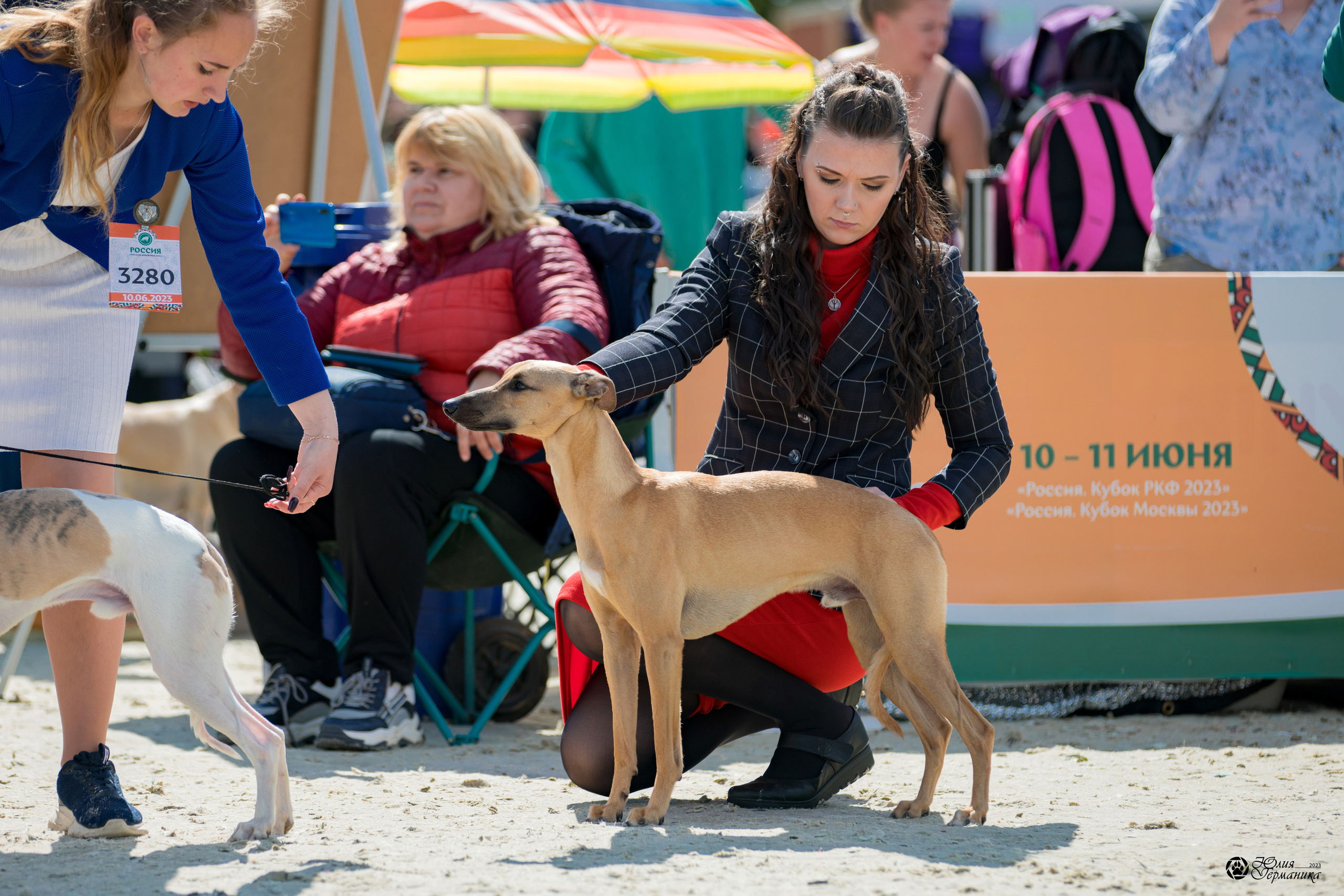 Россия 10-11.06.2023. Фотограф-анималист Юлия Германика