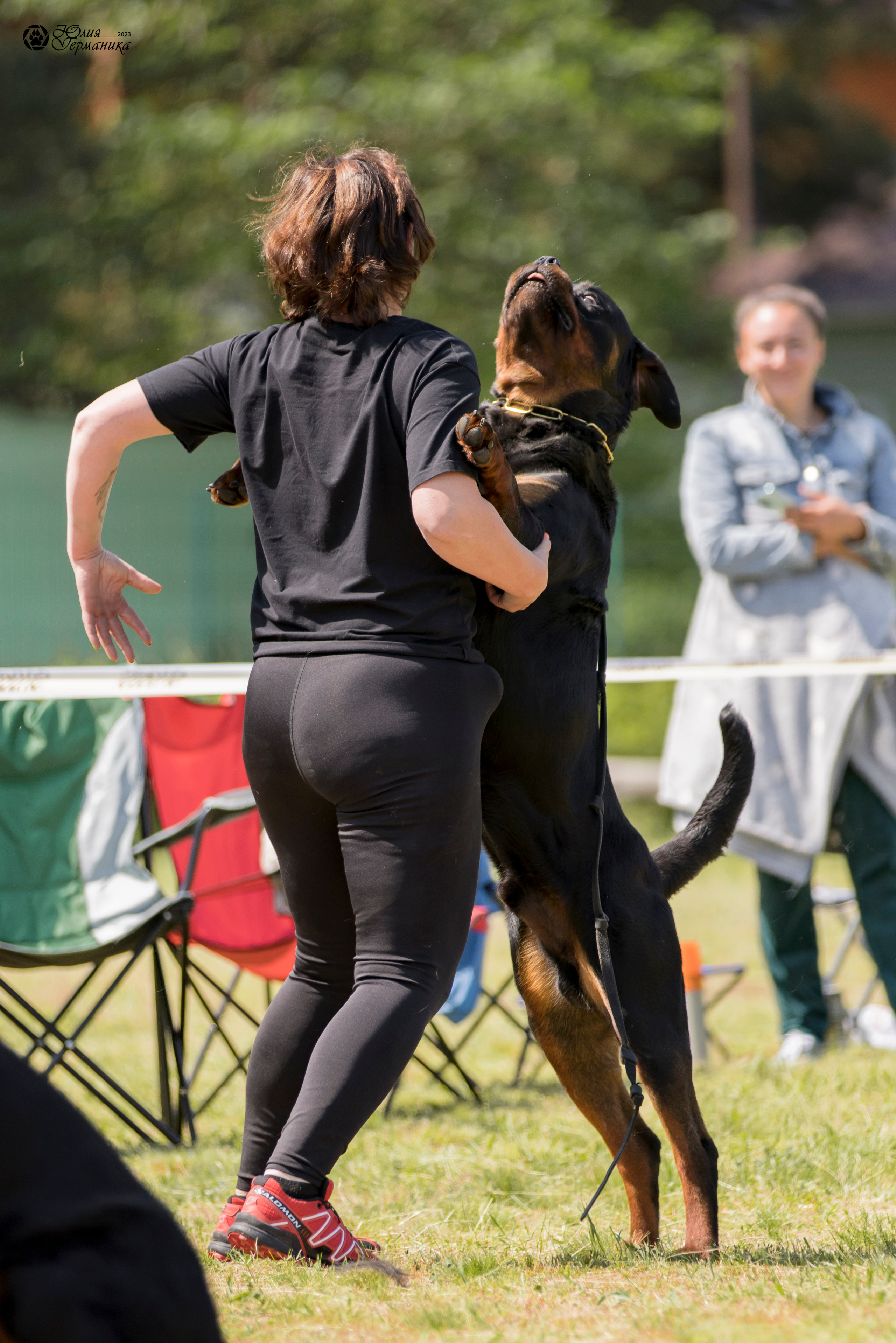 Воронеж 2хмоно ротвейлеров 3-4.06.2023. Фотограф-анималист Юлия Германика