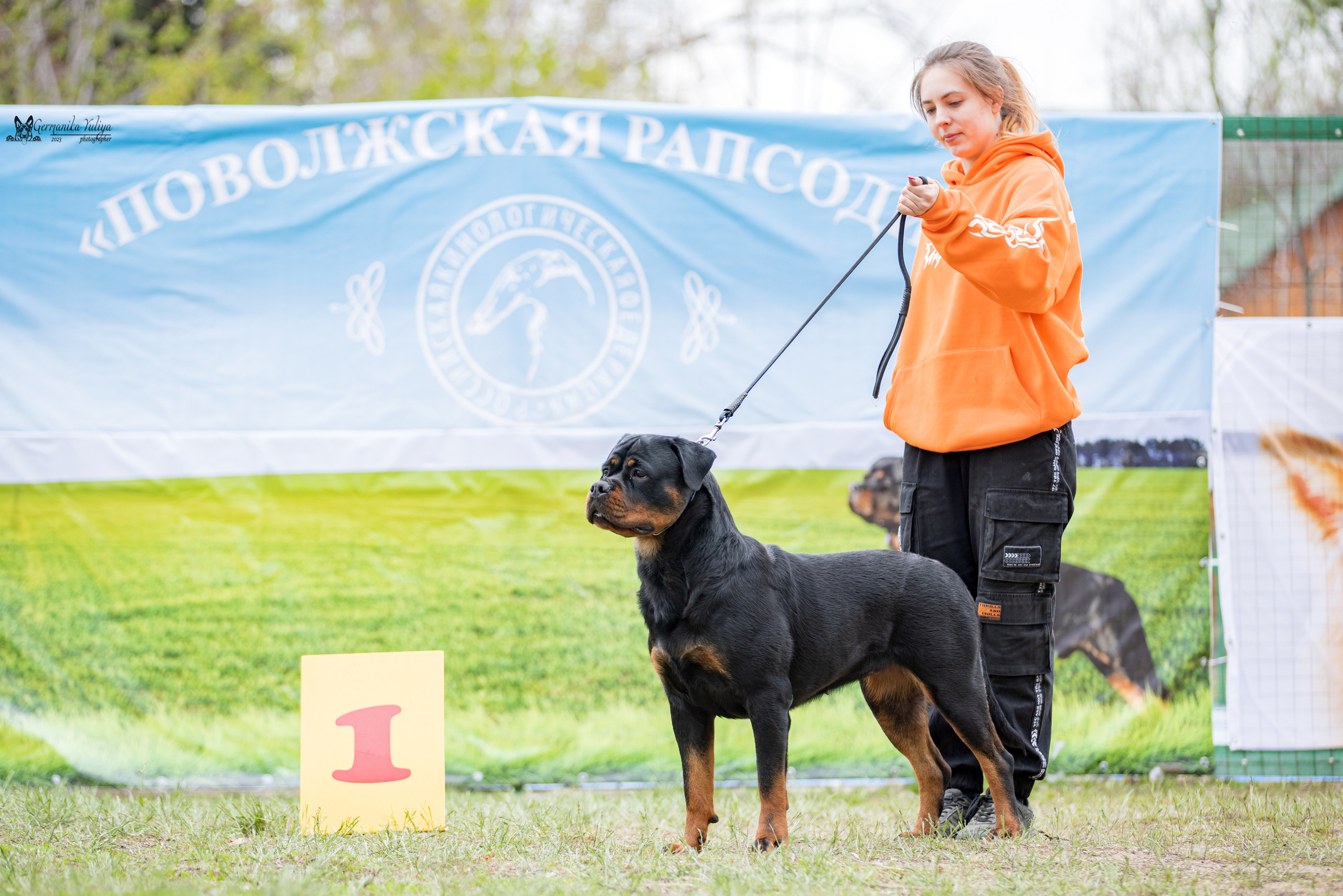 Саратов 2хмоно ротвейлеров 22-23.04.2023. Фотограф-анималист Юлия Германика