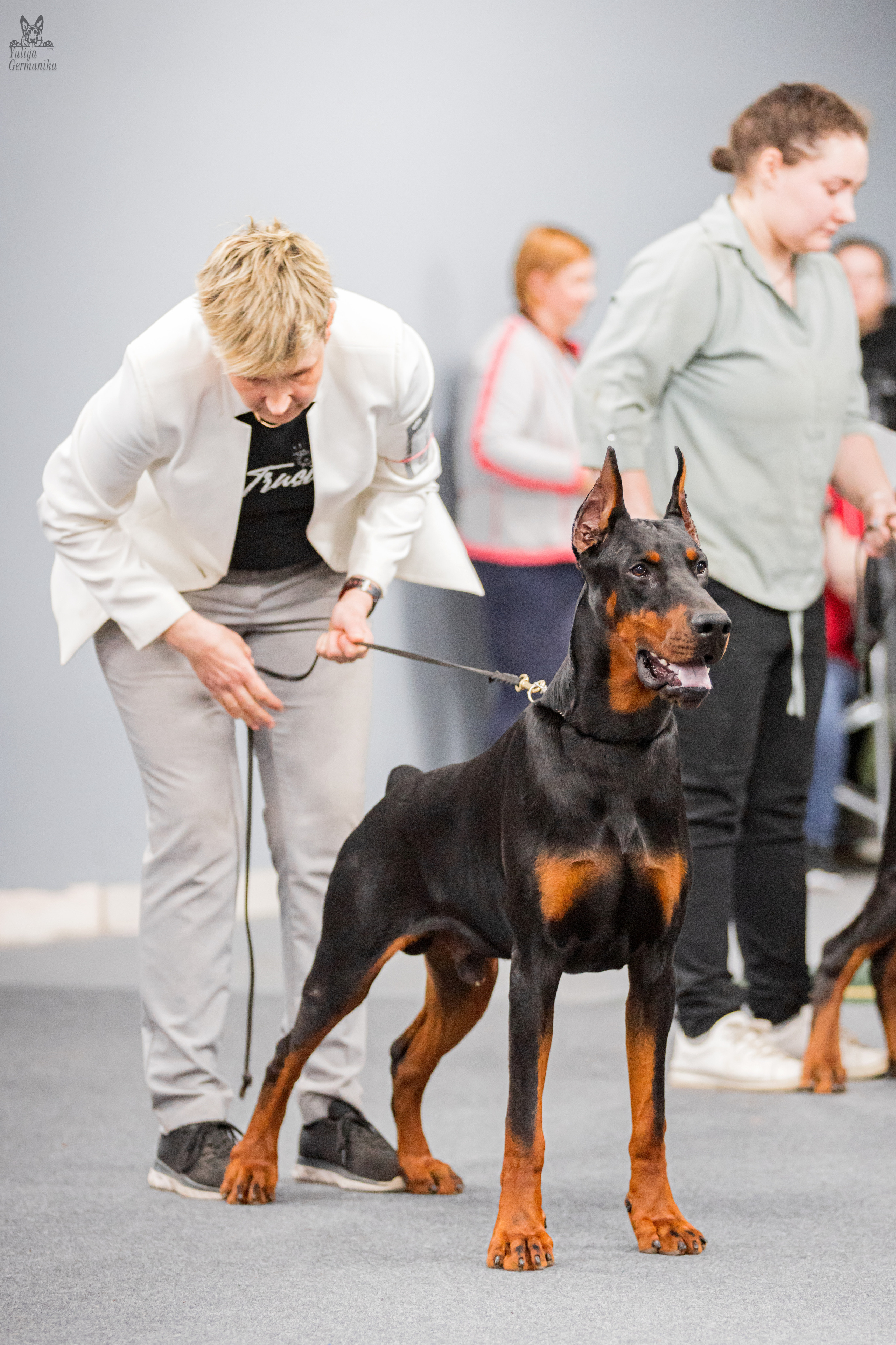 Сфера+доберманы 02.04.2023. Фотограф-анималист Юлия Германика