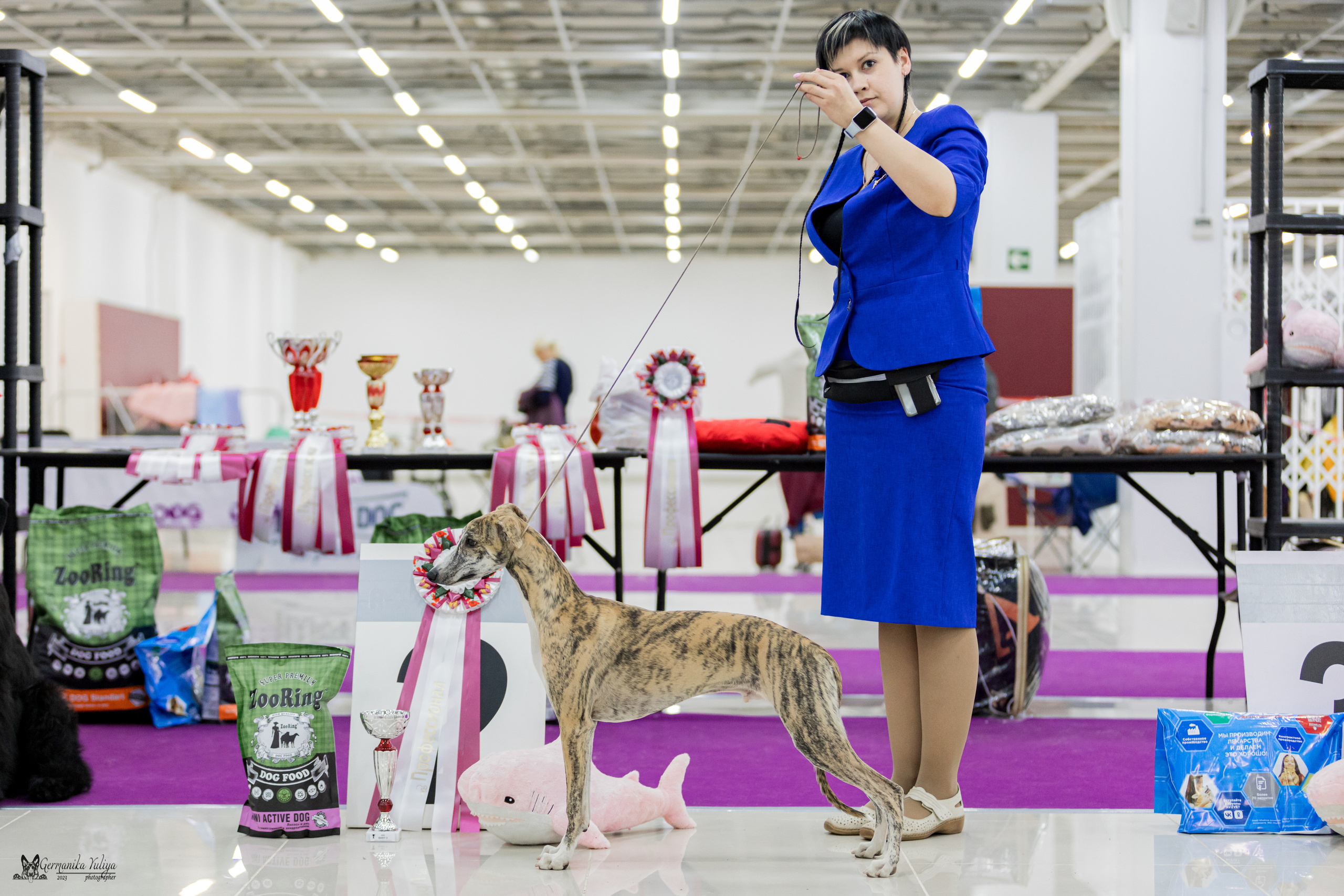 Сфера+МД 8-9.04.2023. Фотограф-анималист Юлия Германика
