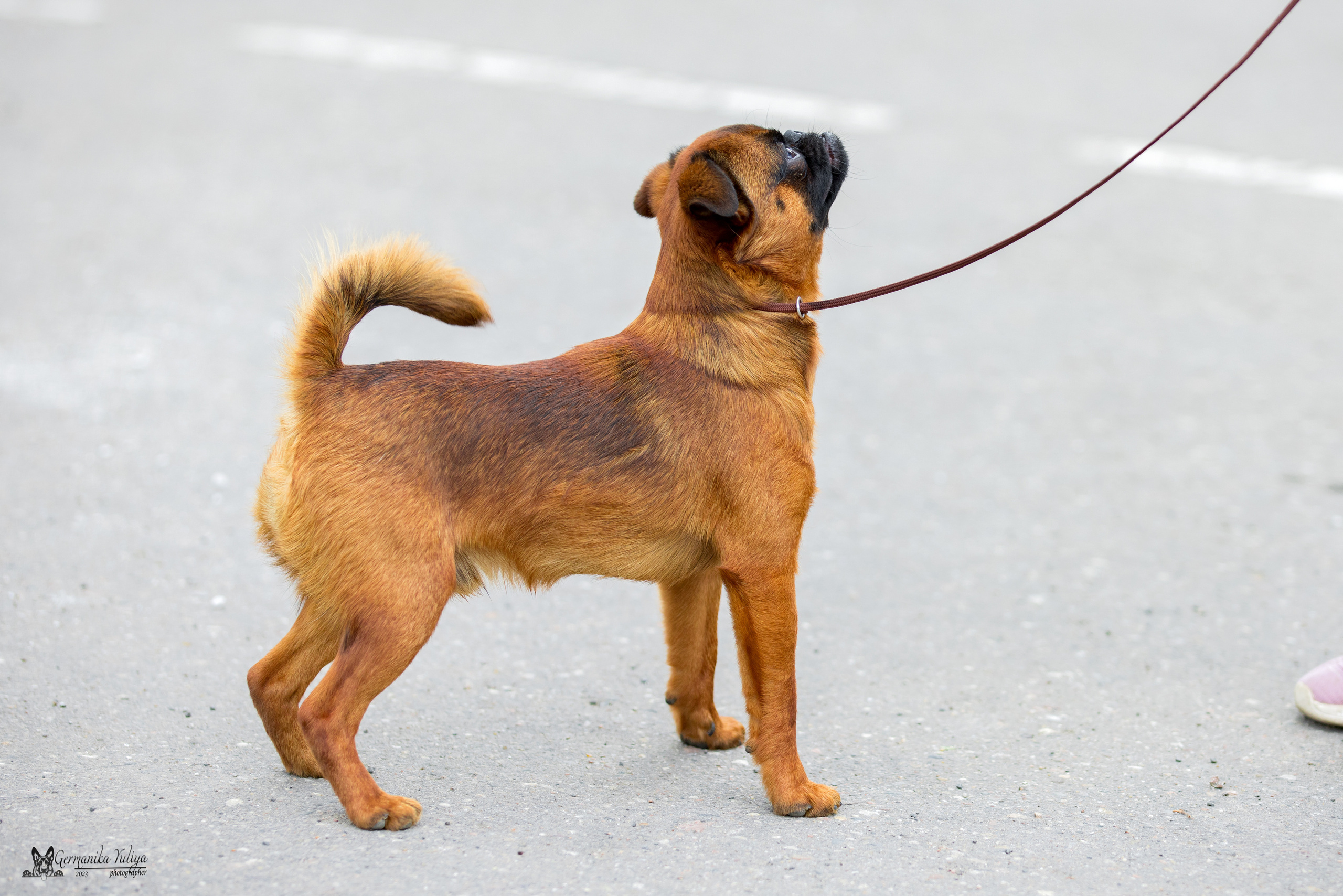 Измайлово 21.05.2023. Фотограф-анималист Юлия Германика