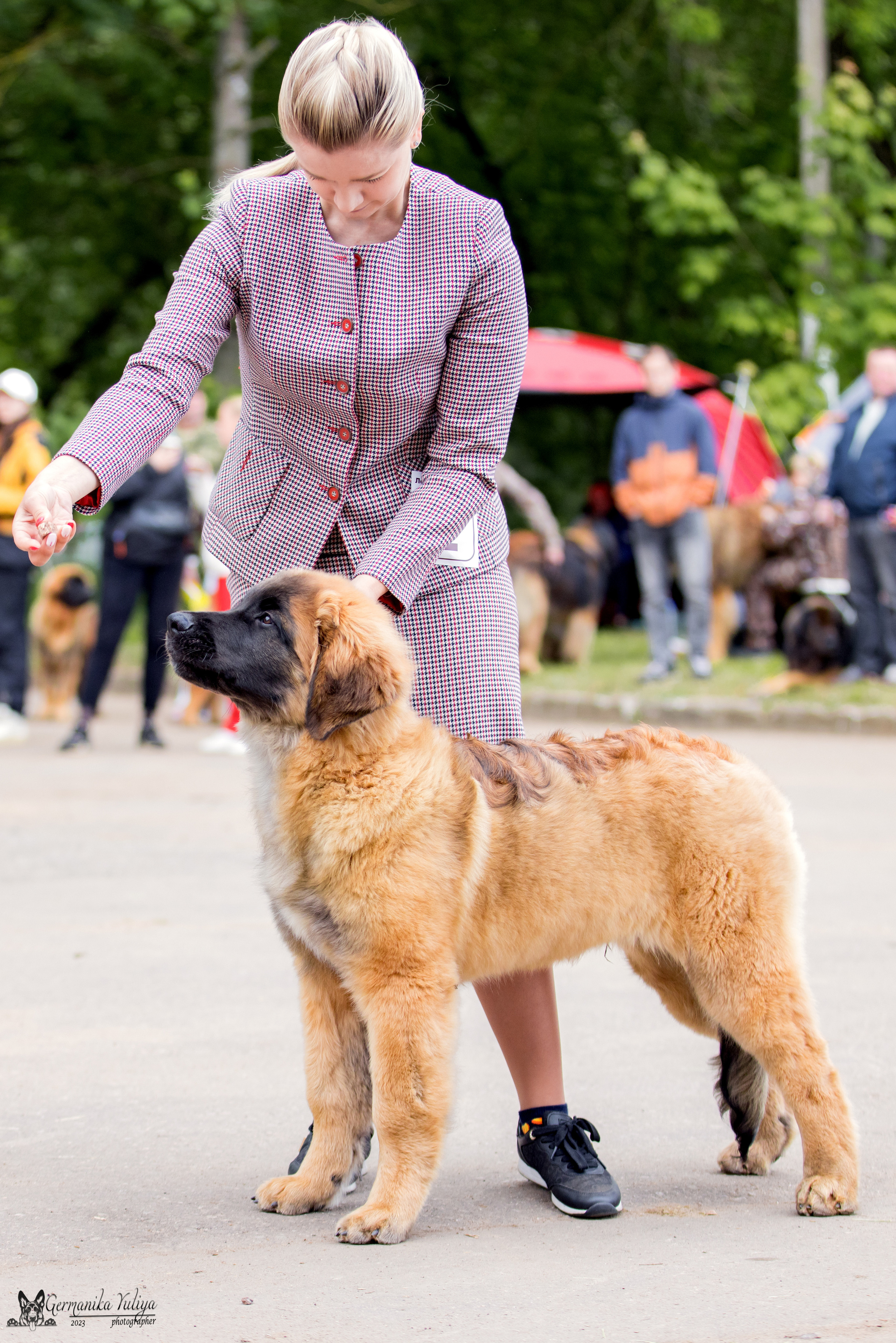 Националка Леонбергеров 28.05.2023. Фотограф-анималист Юлия Германика