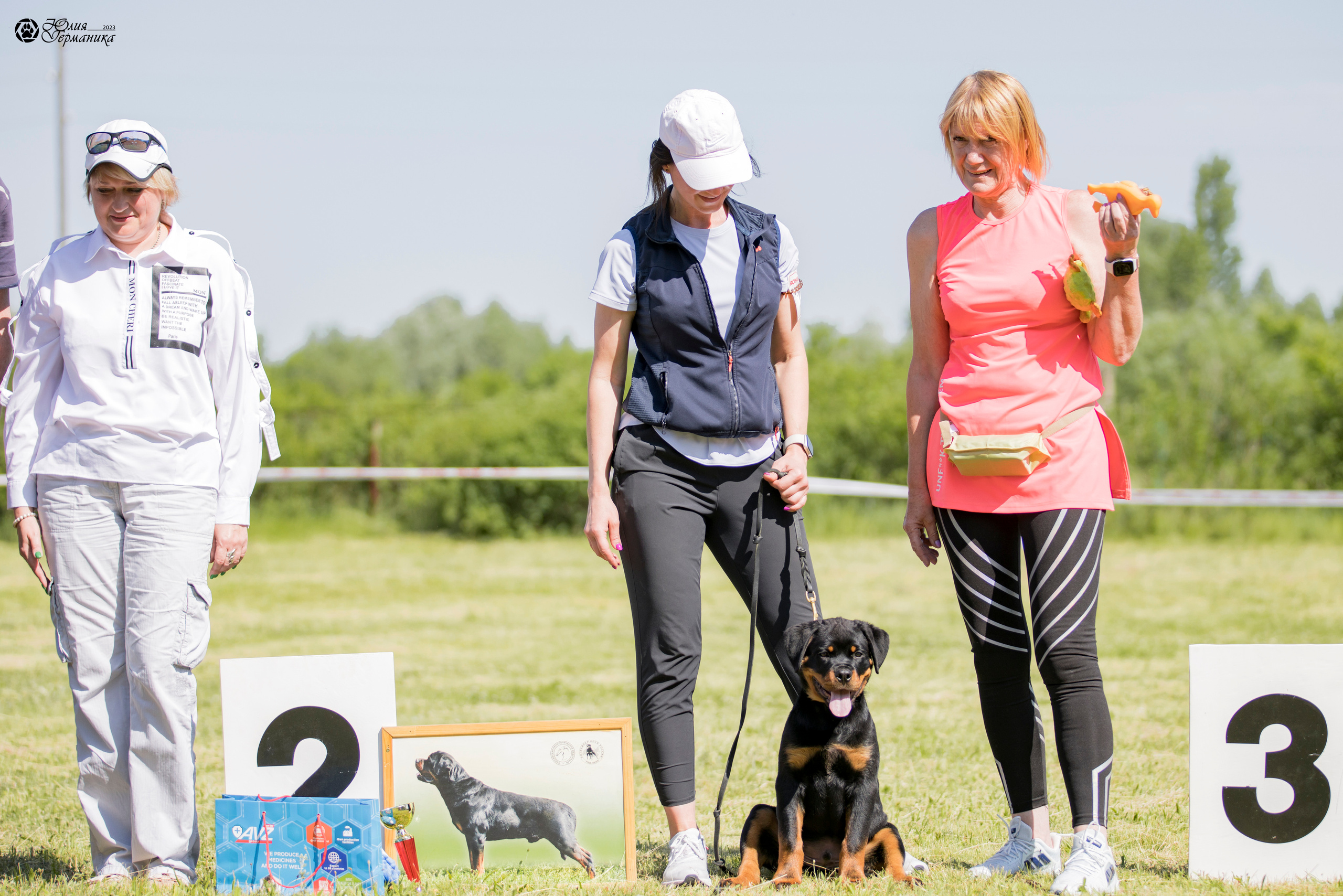 Воронеж 2хмоно ротвейлеров 3-4.06.2023. Фотограф-анималист Юлия Германика