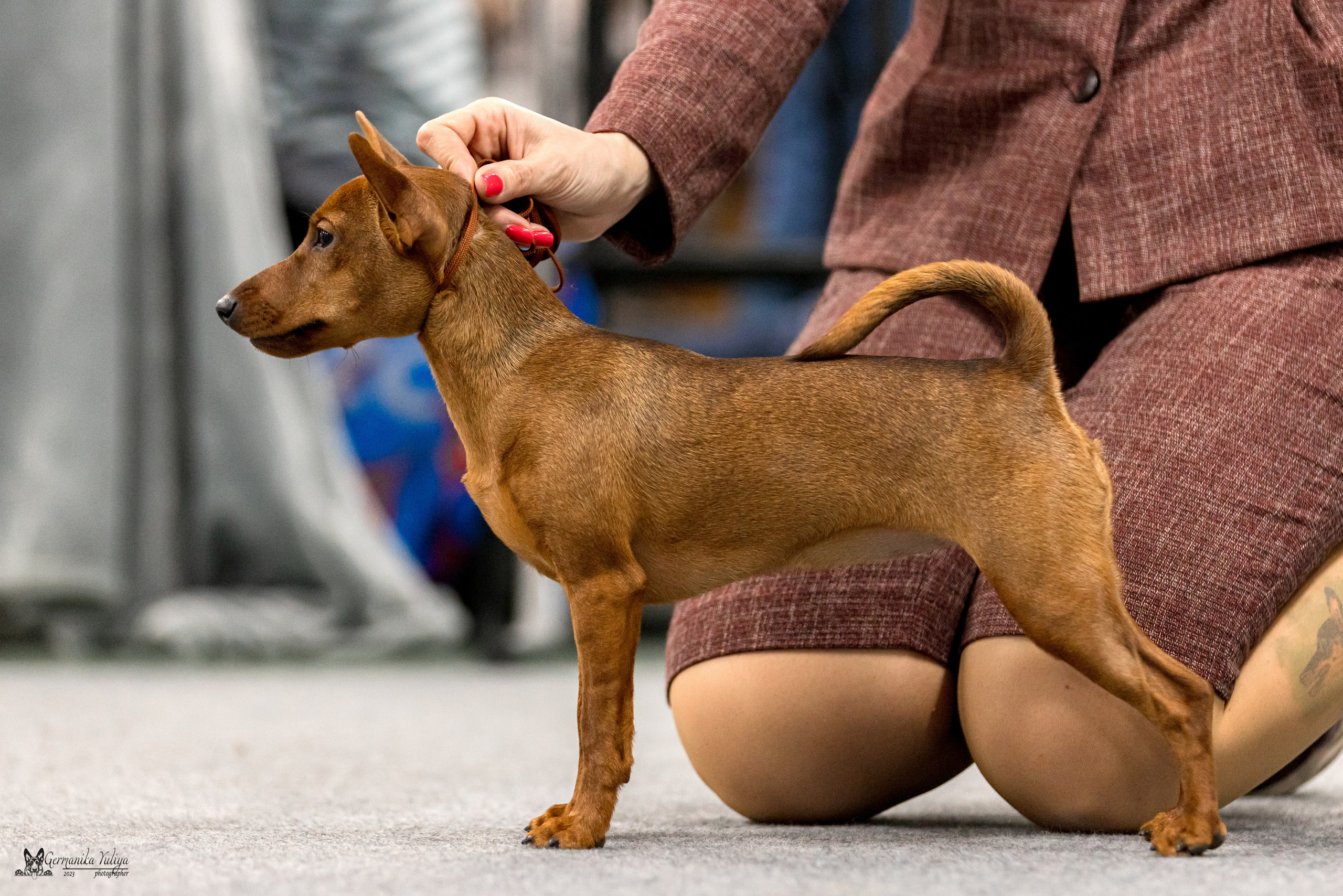 Сфера+МД 8-9.04.2023. Фотограф-анималист Юлия Германика