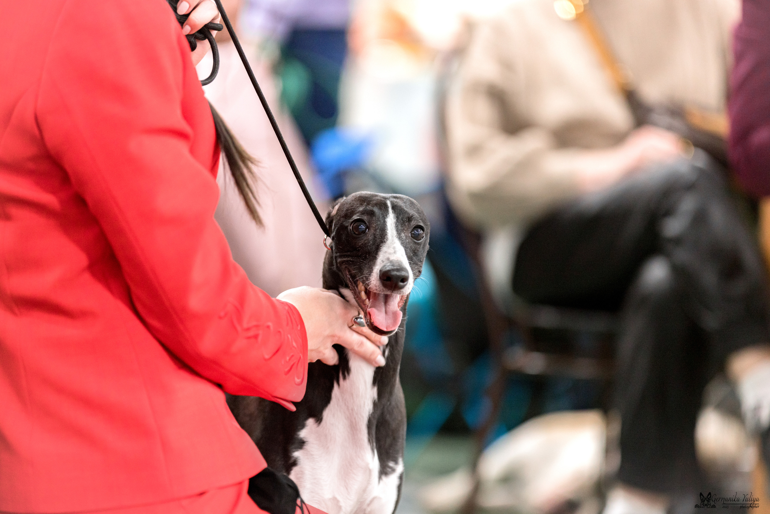 Сфера+МД 8-9.04.2023. Фотограф-анималист Юлия Германика