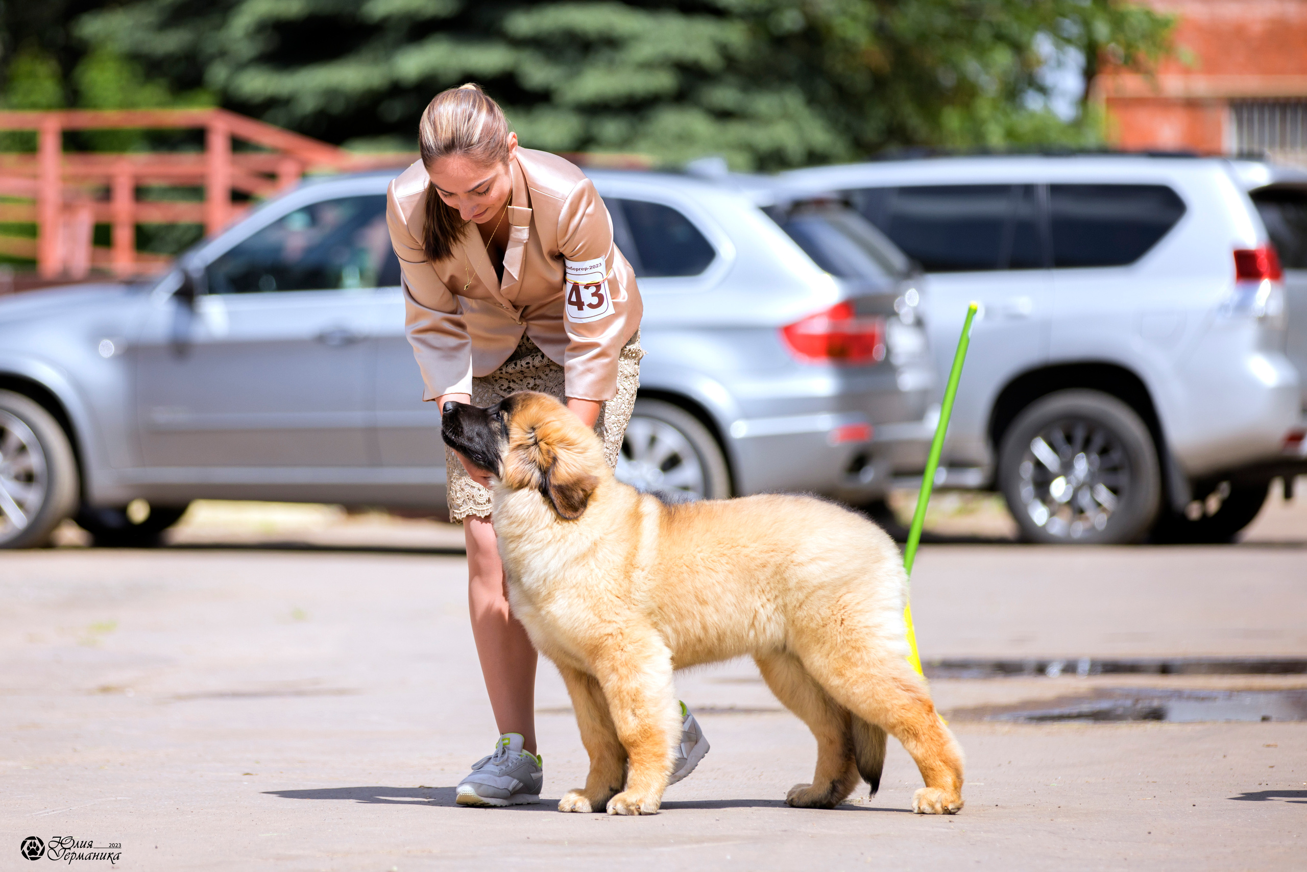 Националка Леонбергеров 28.05.2023. Фотограф-анималист Юлия Германика