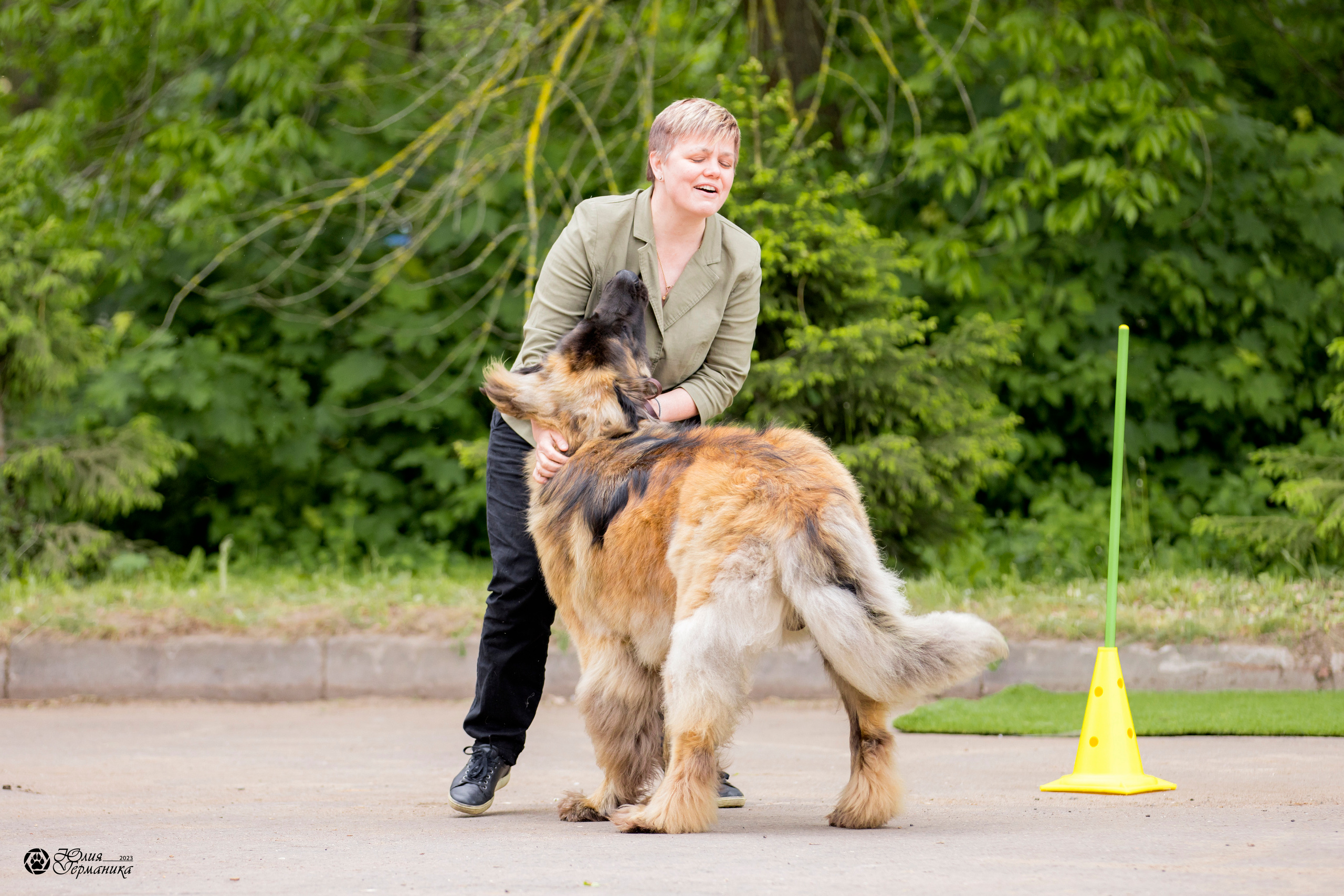Националка Леонбергеров 28.05.2023. Фотограф-анималист Юлия Германика