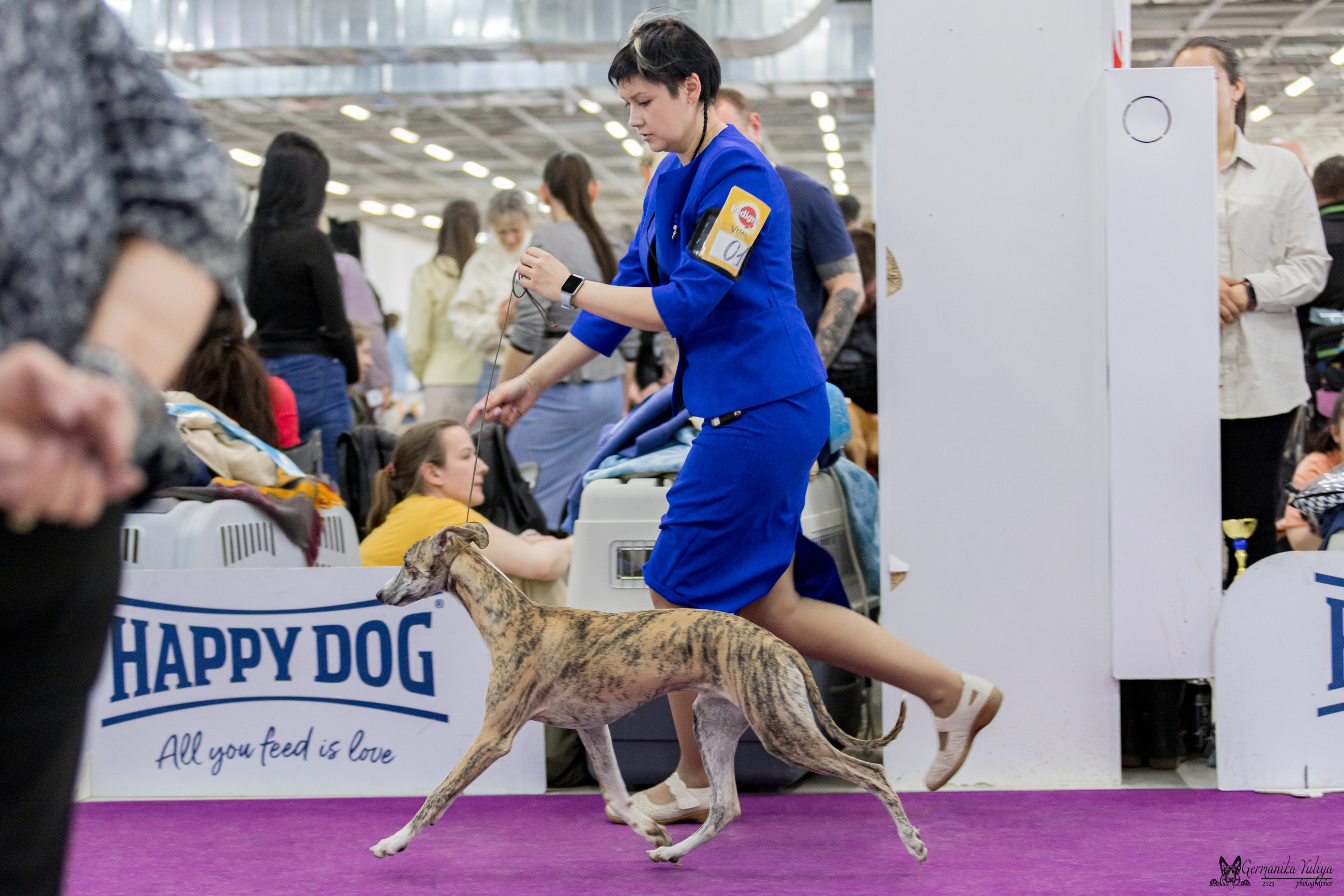 Сфера+МД 8-9.04.2023. Фотограф-анималист Юлия Германика