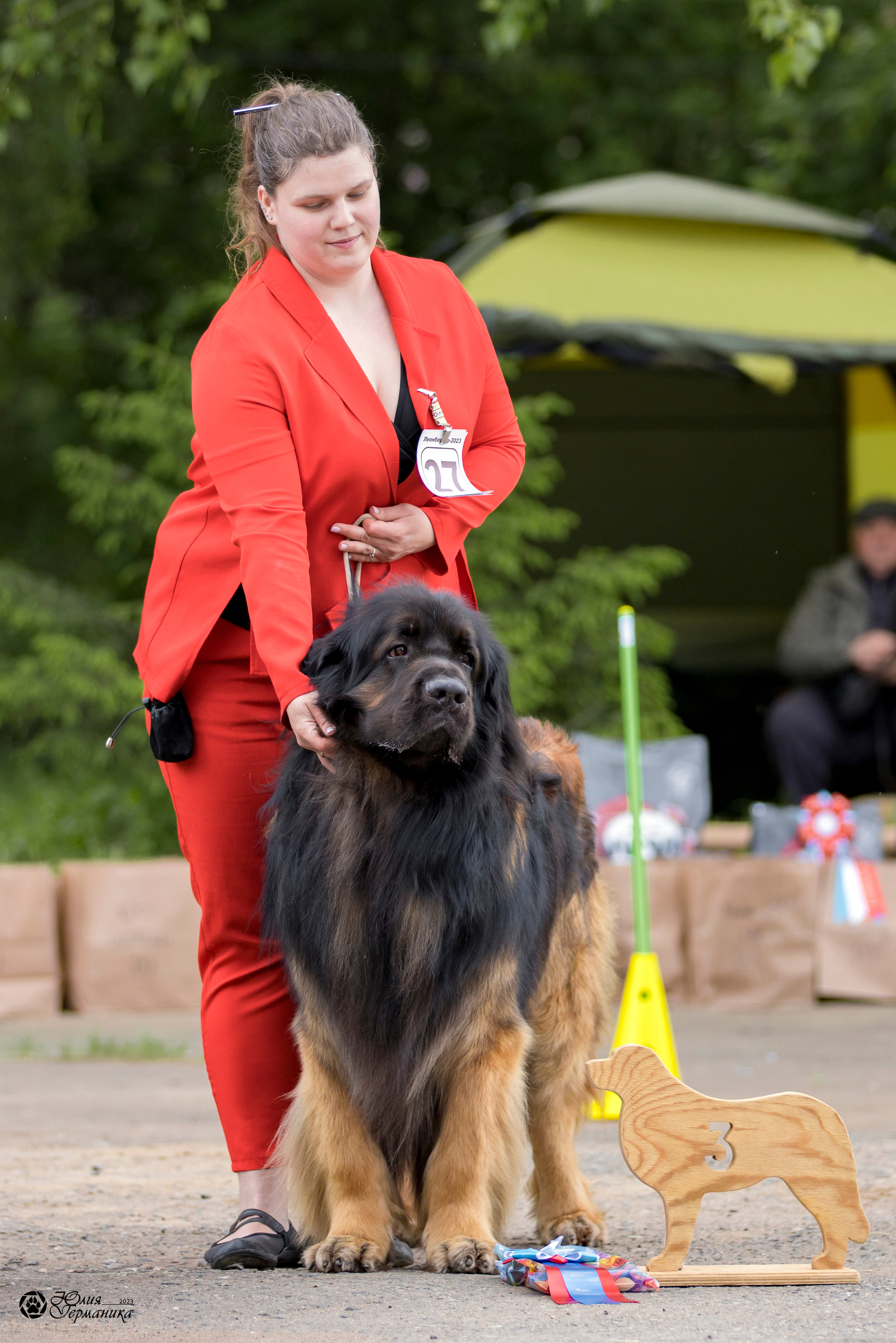Националка Леонбергеров 28.05.2023. Фотограф-анималист Юлия Германика