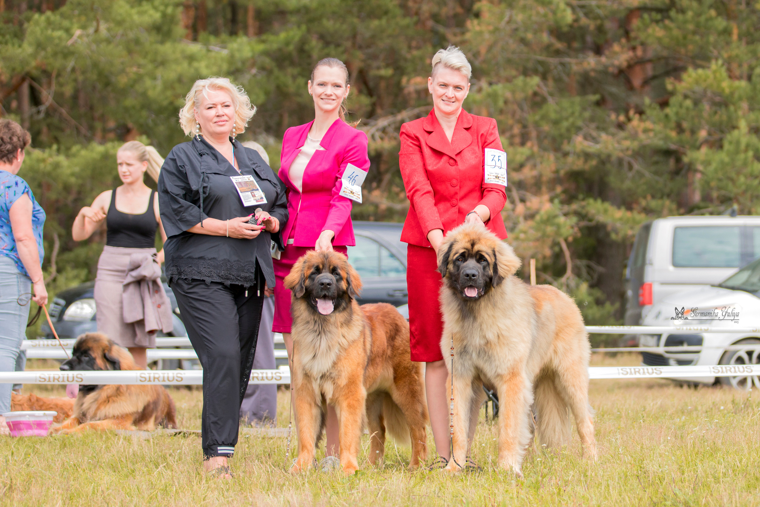 Волжанка 8.07.2023. Фотограф-анималист Юлия Германика