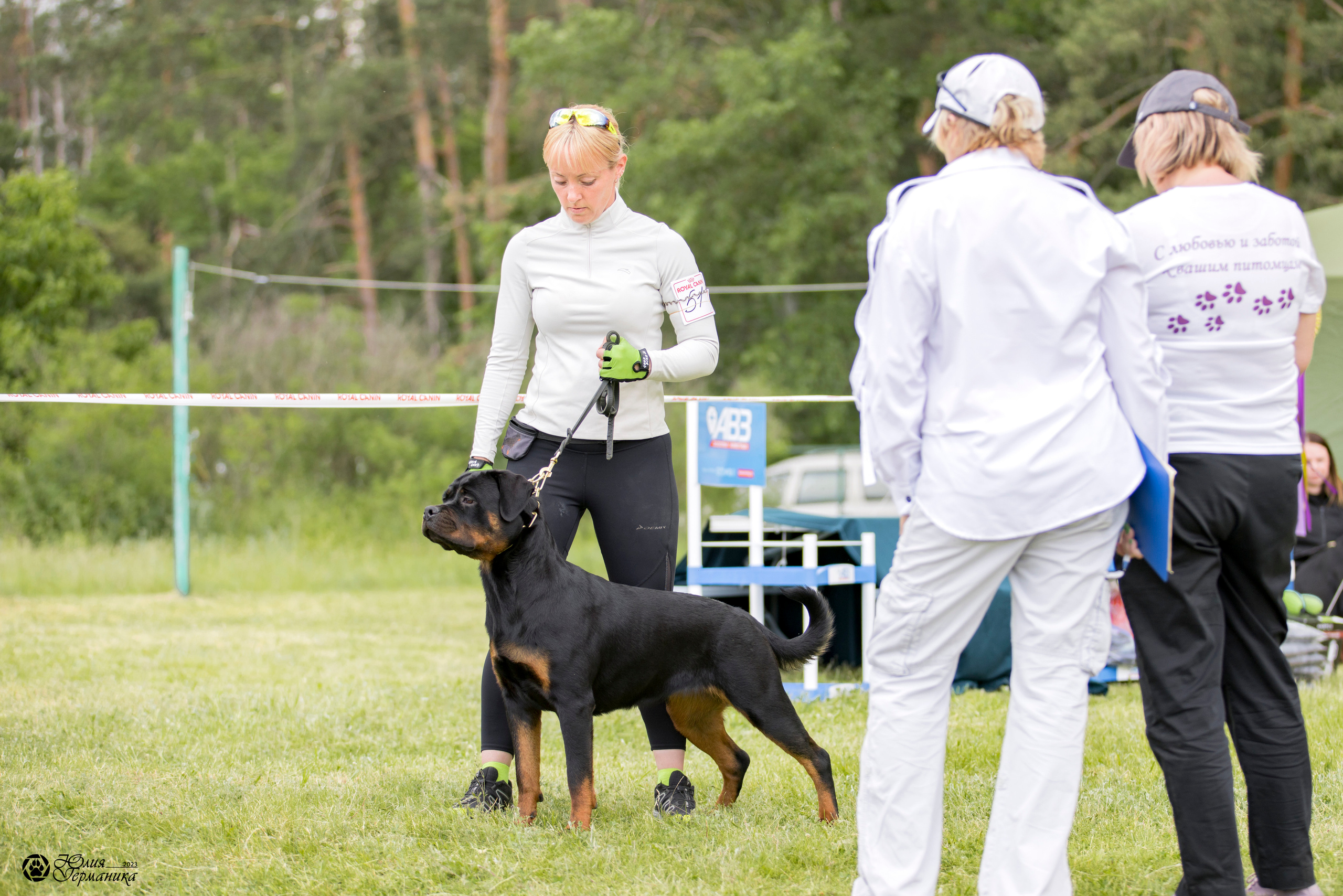 Воронеж 2хмоно ротвейлеров 3-4.06.2023. Фотограф-анималист Юлия Германика