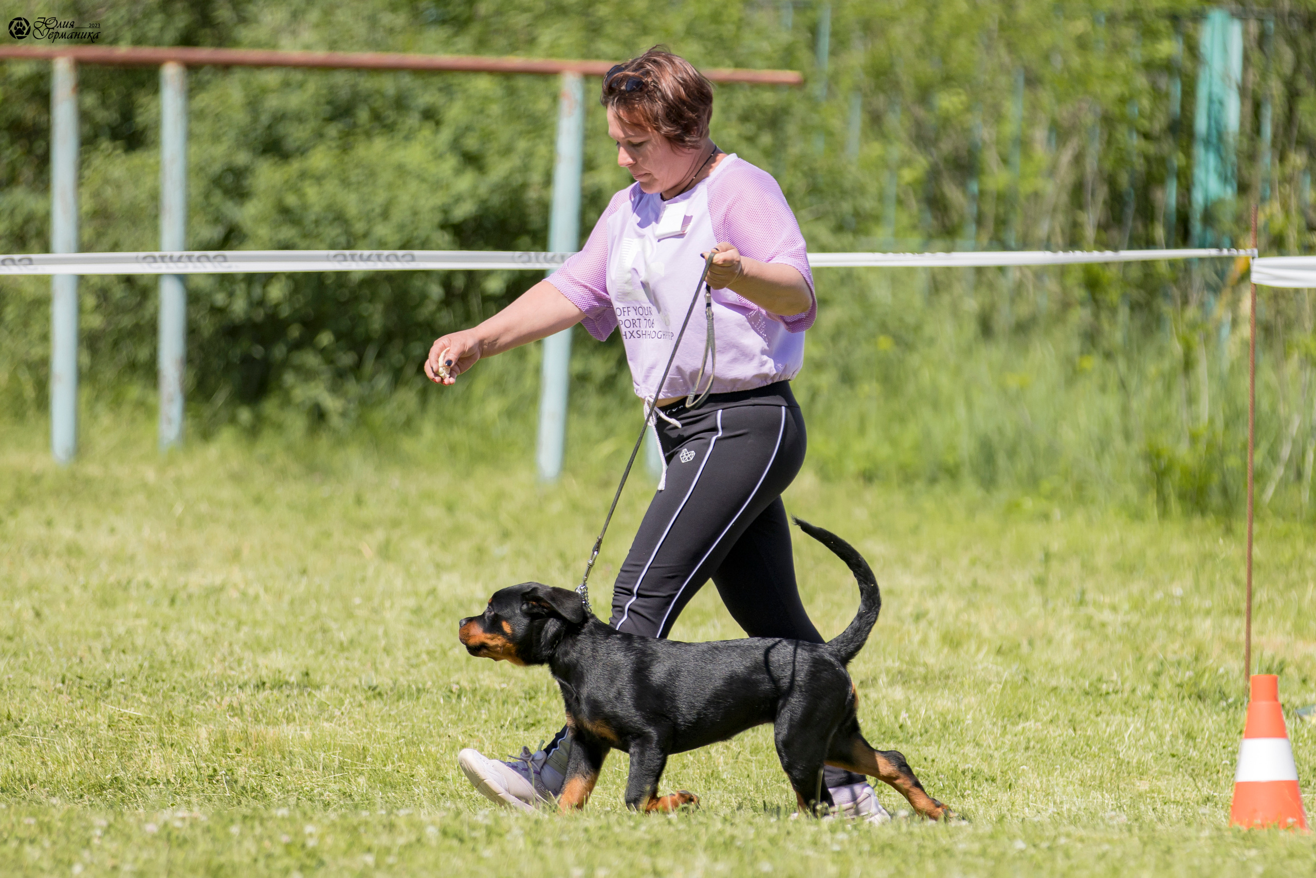 Воронеж 2хмоно ротвейлеров 3-4.06.2023. Фотограф-анималист Юлия Германика
