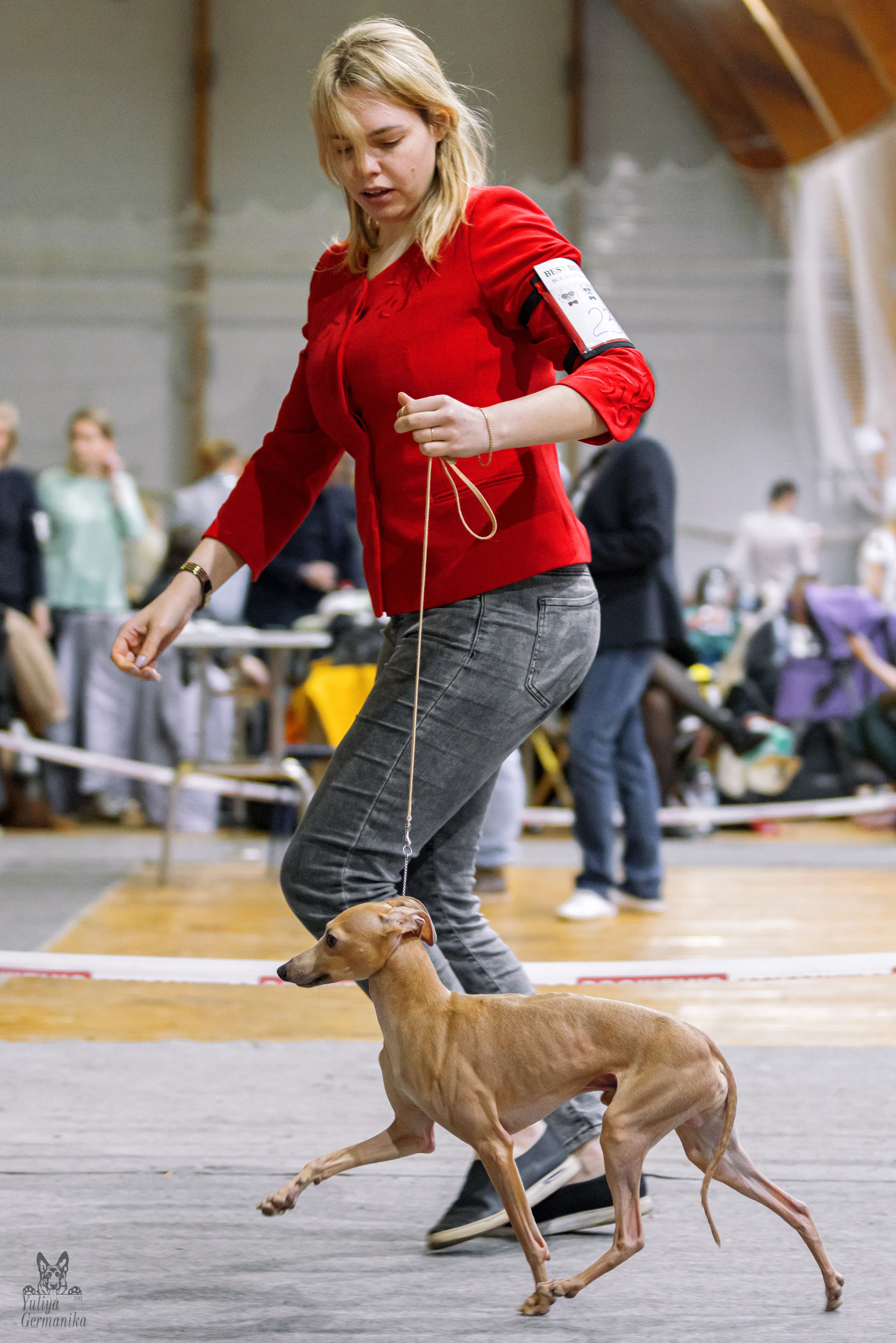 Тверь 01.04.2023. Фотограф-анималист Юлия Германика