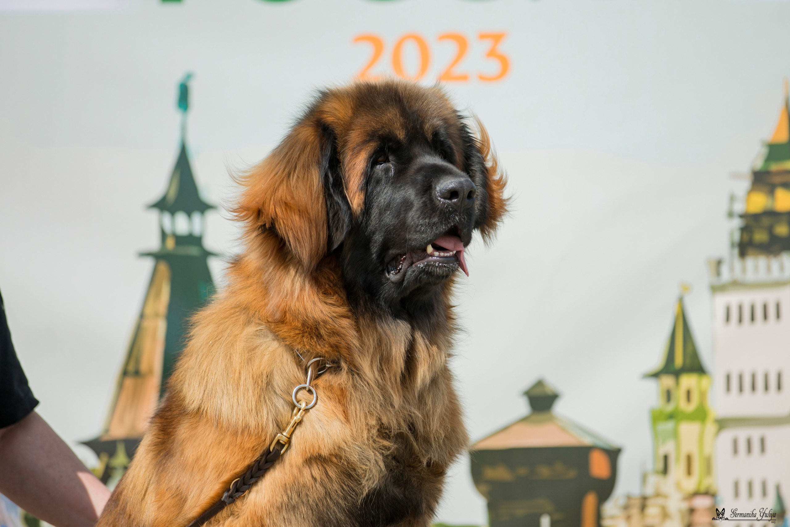 Россия 10-11.06.2023. Фотограф-анималист Юлия Германика