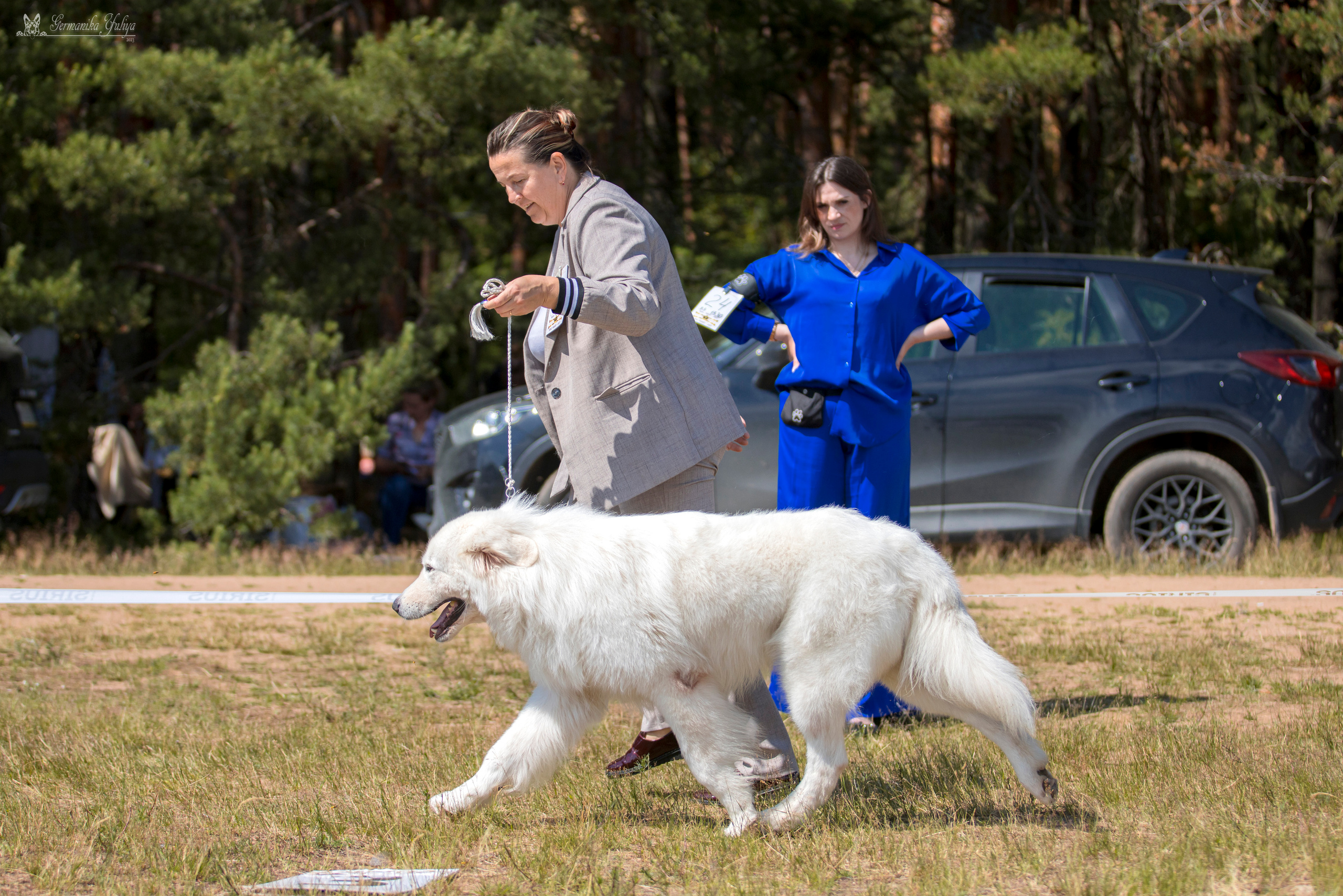 Волжанка 8.07.2023. Фотограф-анималист Юлия Германика