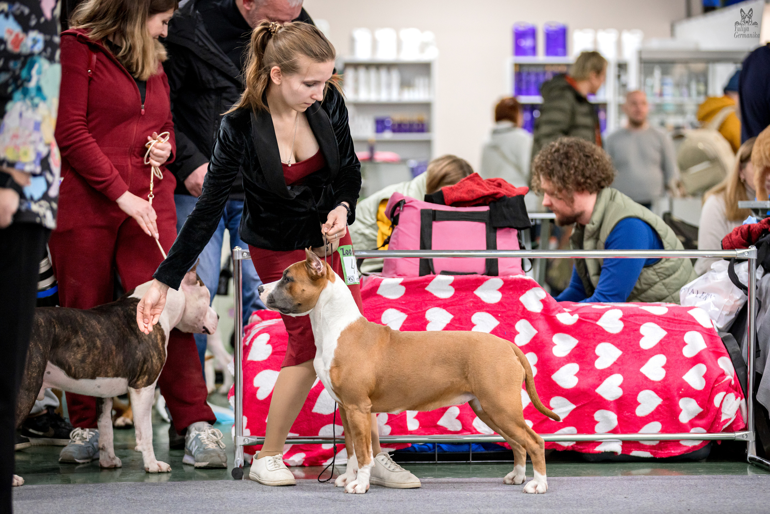 Сфера 25-26.03.2023. Фотограф-анималист Юлия Германика