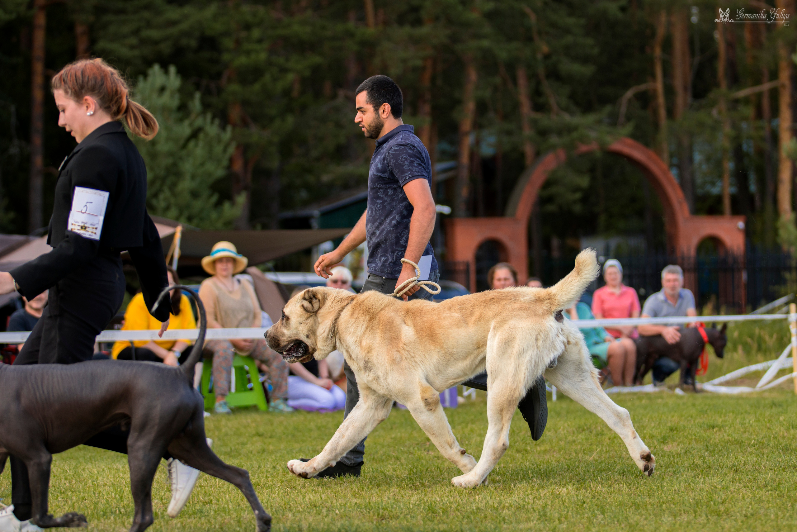 Волжанка 8.07.2023. Фотограф-анималист Юлия Германика
