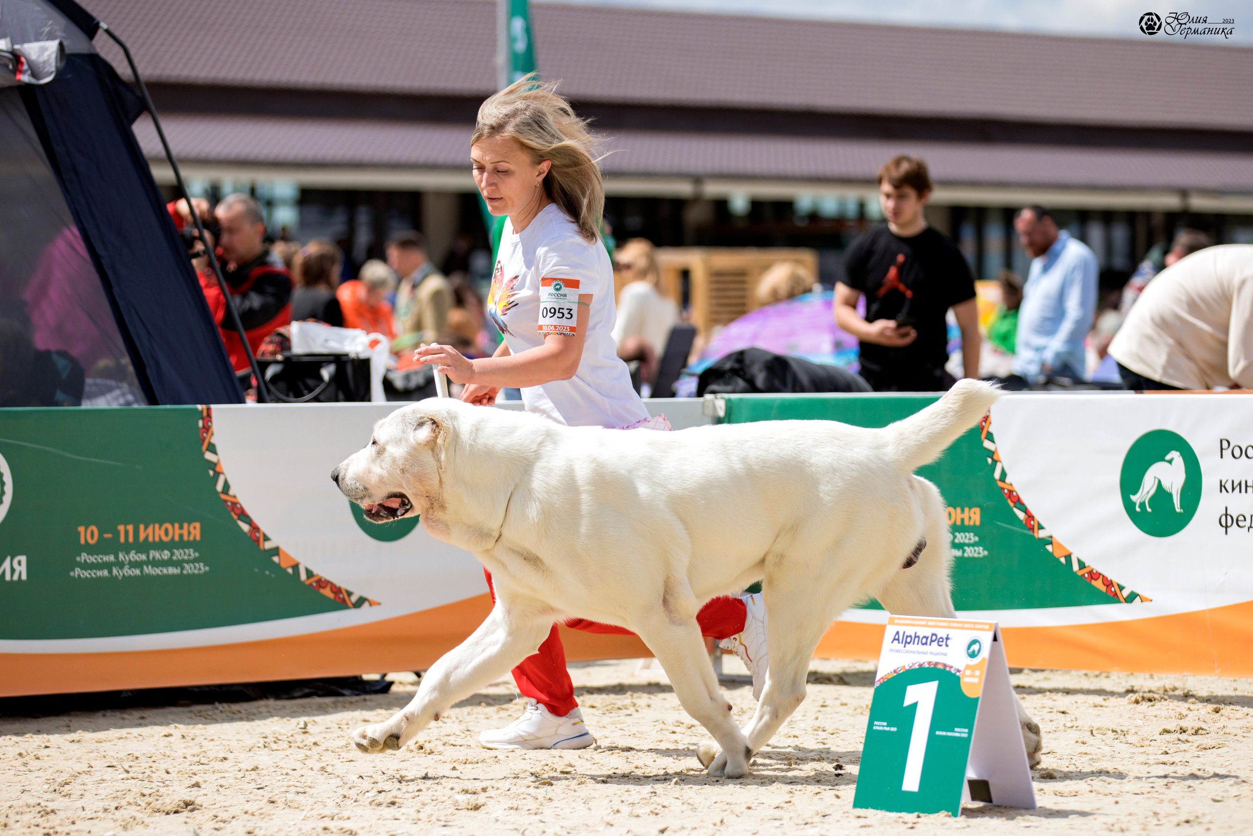 Россия 10-11.06.2023. Фотограф-анималист Юлия Германика