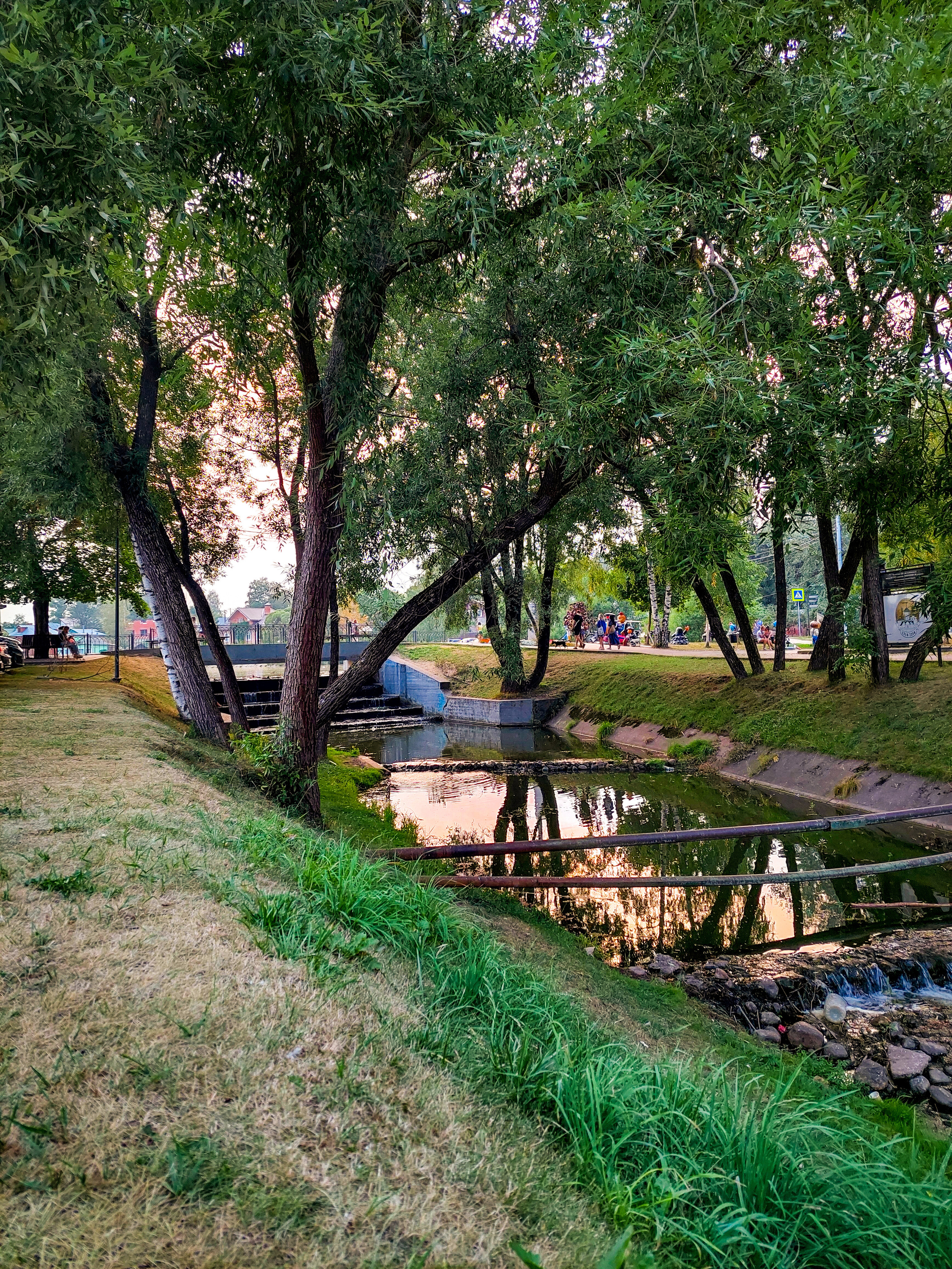 Разные фото на телефон.Города,природа. Фотограф-анималист Юлия Германика