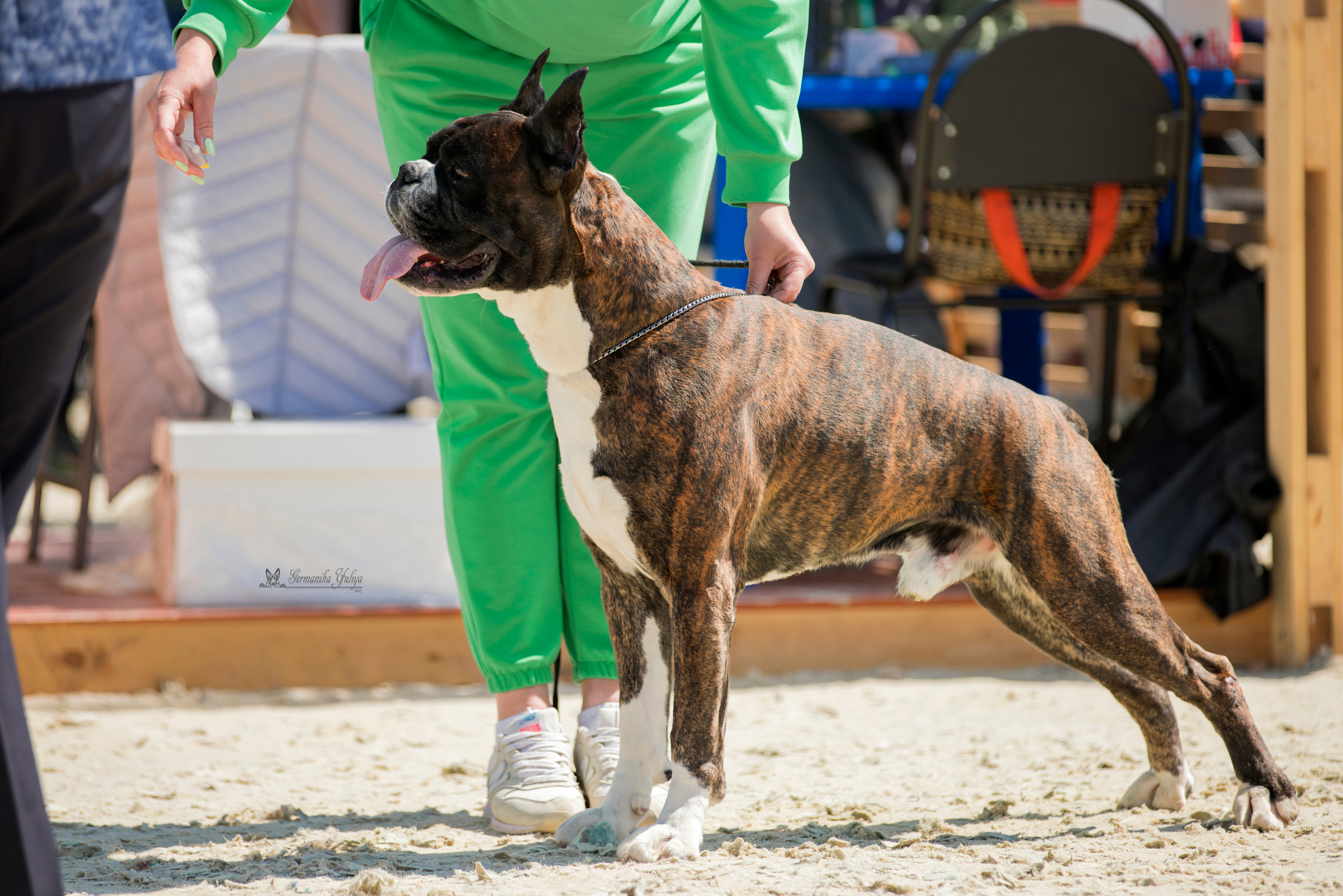 Россия 10-11.06.2023. Фотограф-анималист Юлия Германика