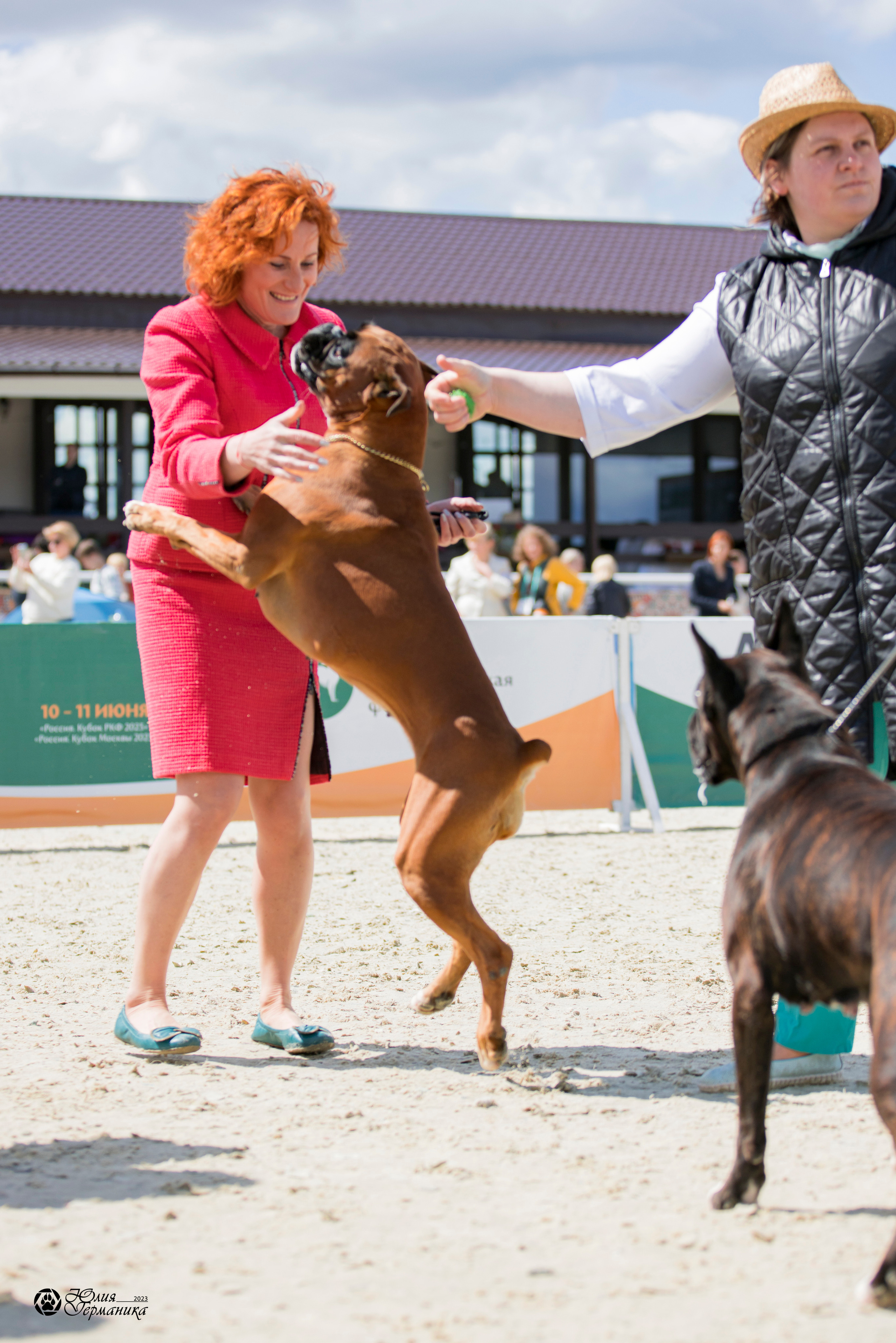 Россия 10-11.06.2023. Фотограф-анималист Юлия Германика