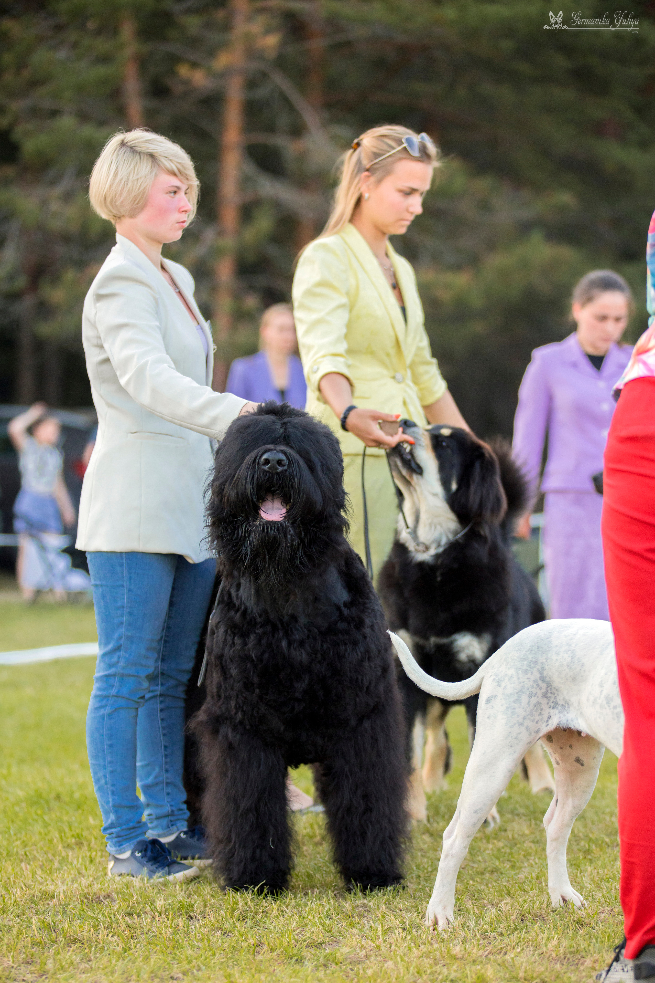 Волжанка 8.07.2023. Фотограф-анималист Юлия Германика
