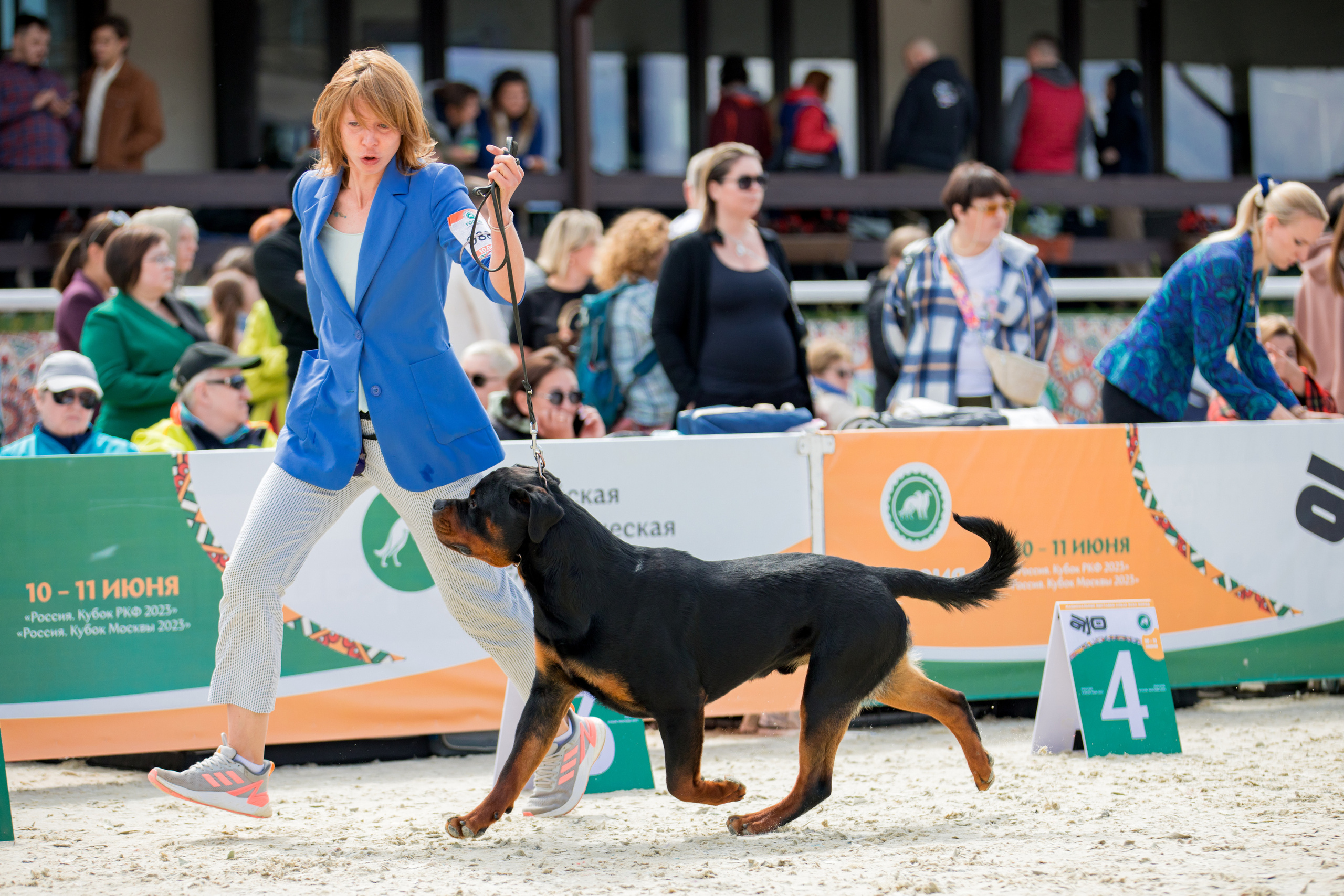 Россия 10-11.06.2023. Фотограф-анималист Юлия Германика