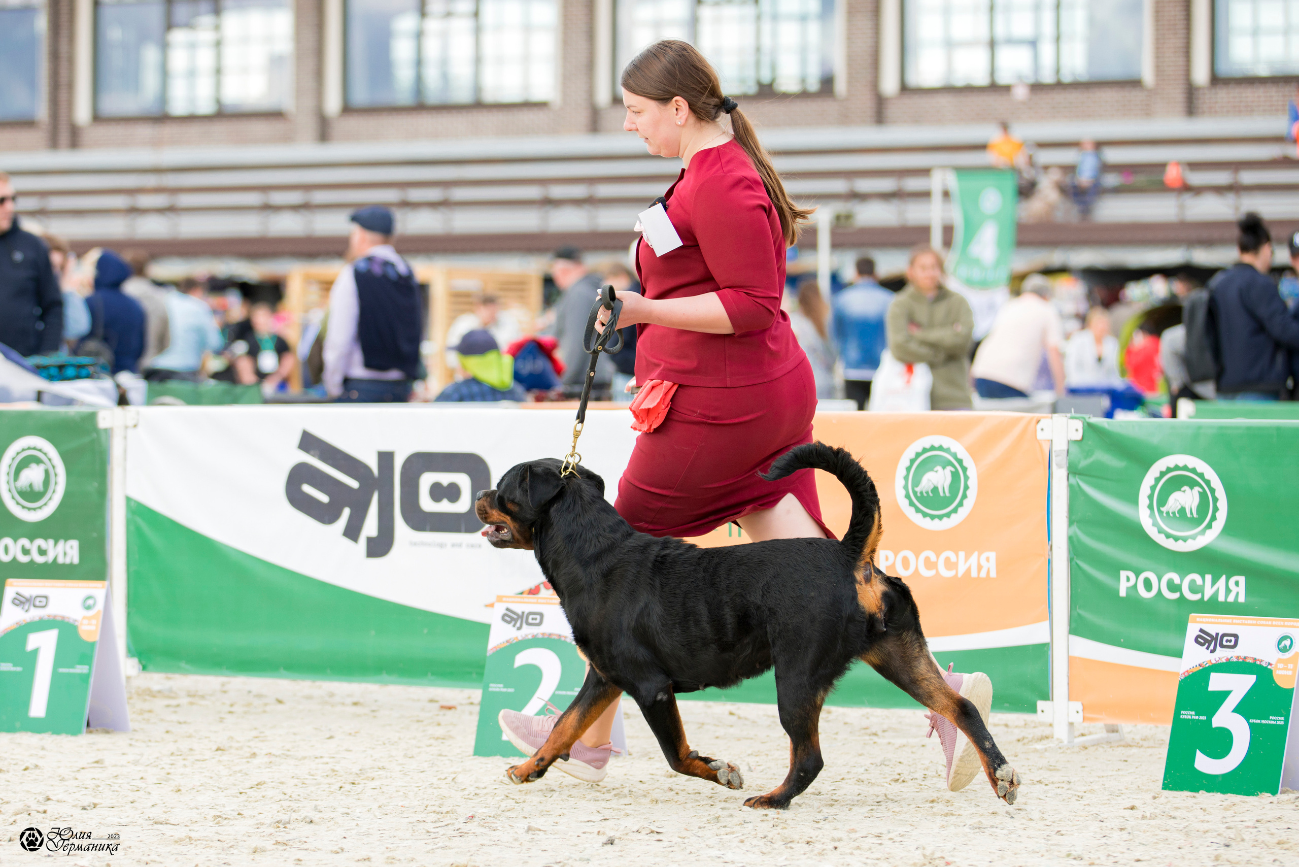 Россия 10-11.06.2023. Фотограф-анималист Юлия Германика