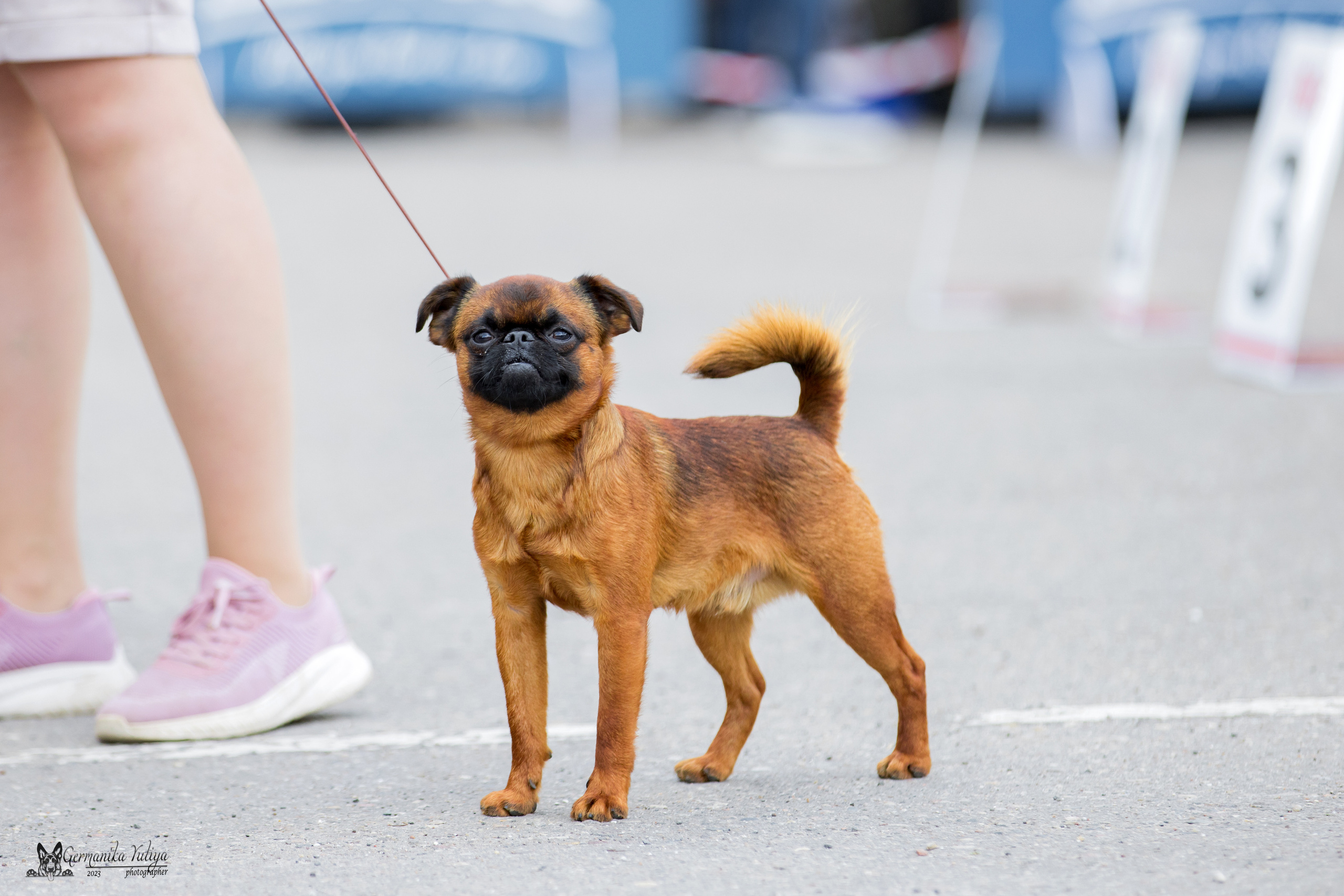 Измайлово 21.05.2023. Фотограф-анималист Юлия Германика