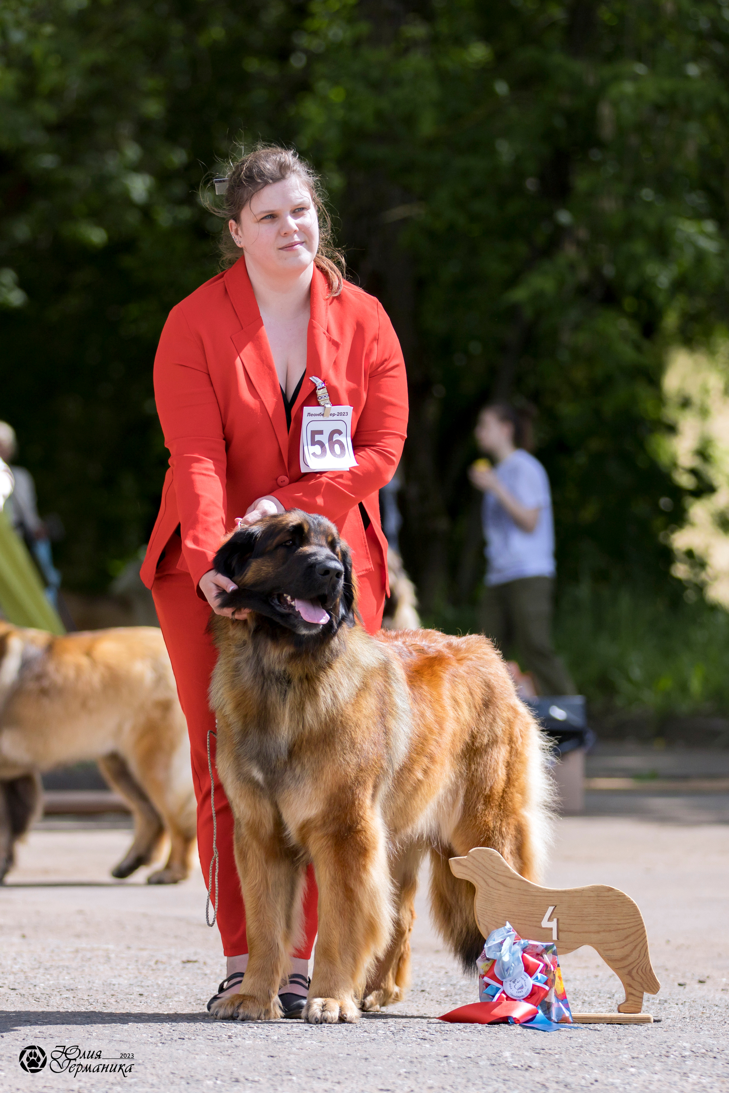Националка Леонбергеров 28.05.2023. Фотограф-анималист Юлия Германика