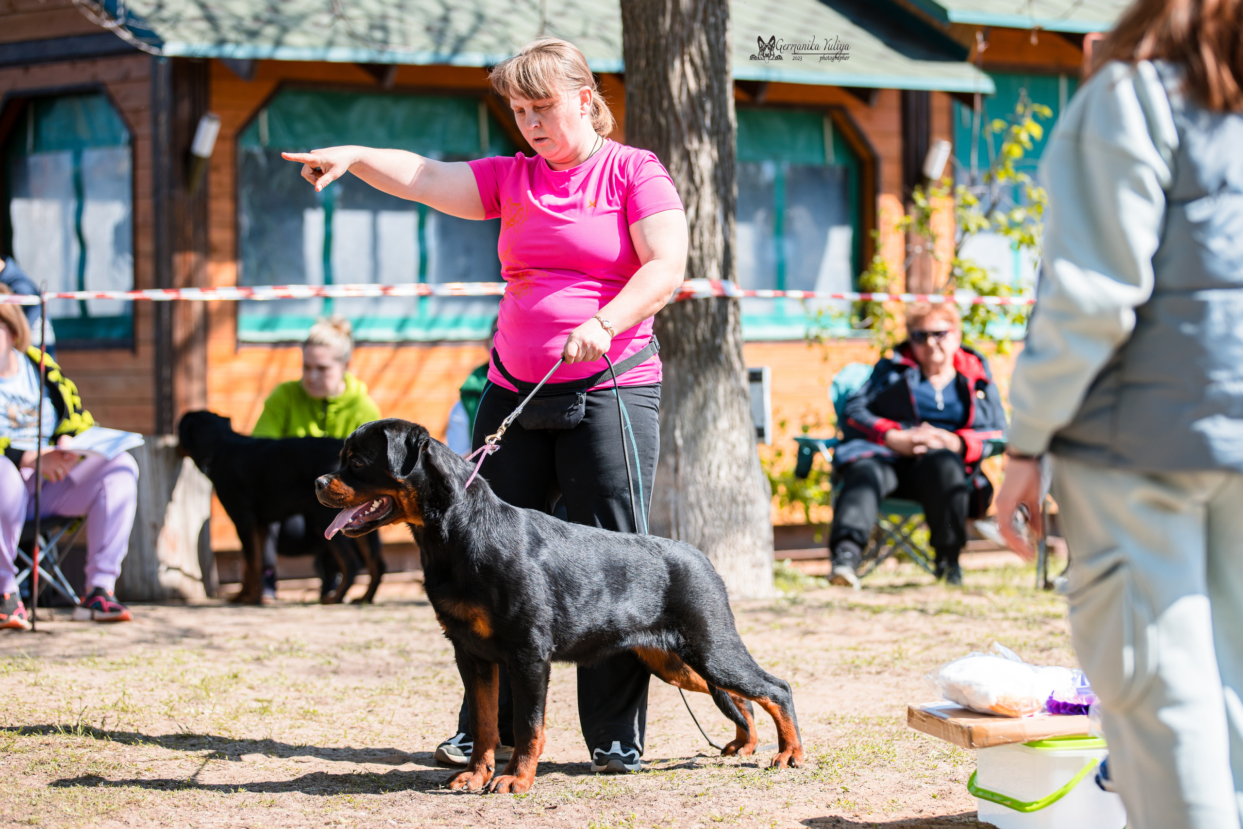 Саратов 2хмоно ротвейлеров 22-23.04.2023. Фотограф-анималист Юлия Германика
