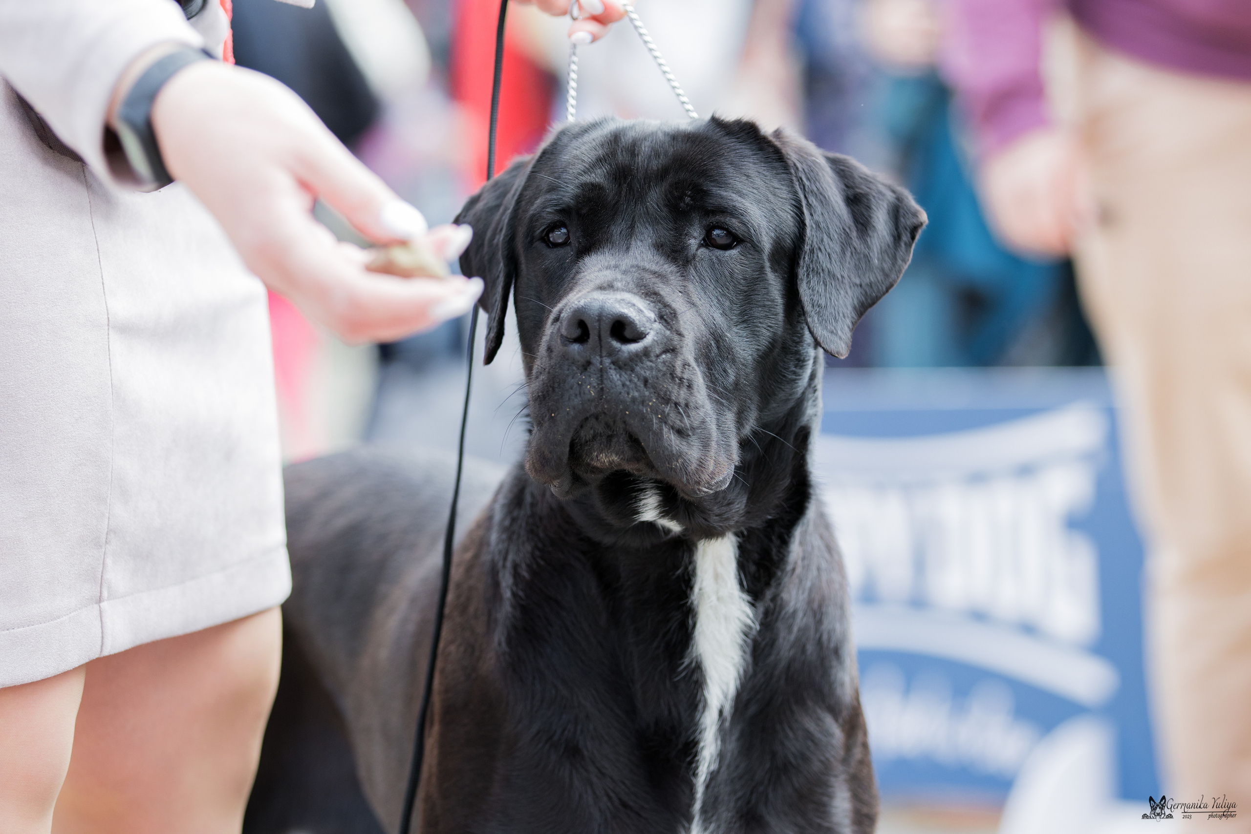 Измайлово 21.05.2023. Фотограф-анималист Юлия Германика